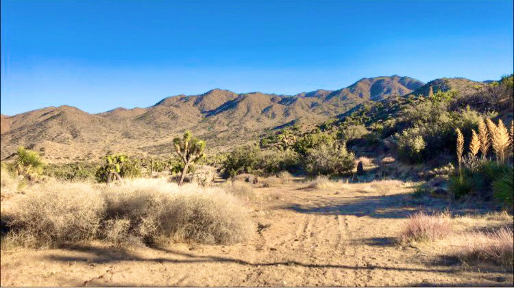 Tipi Canyon, Joshua Tree Nat’l Park