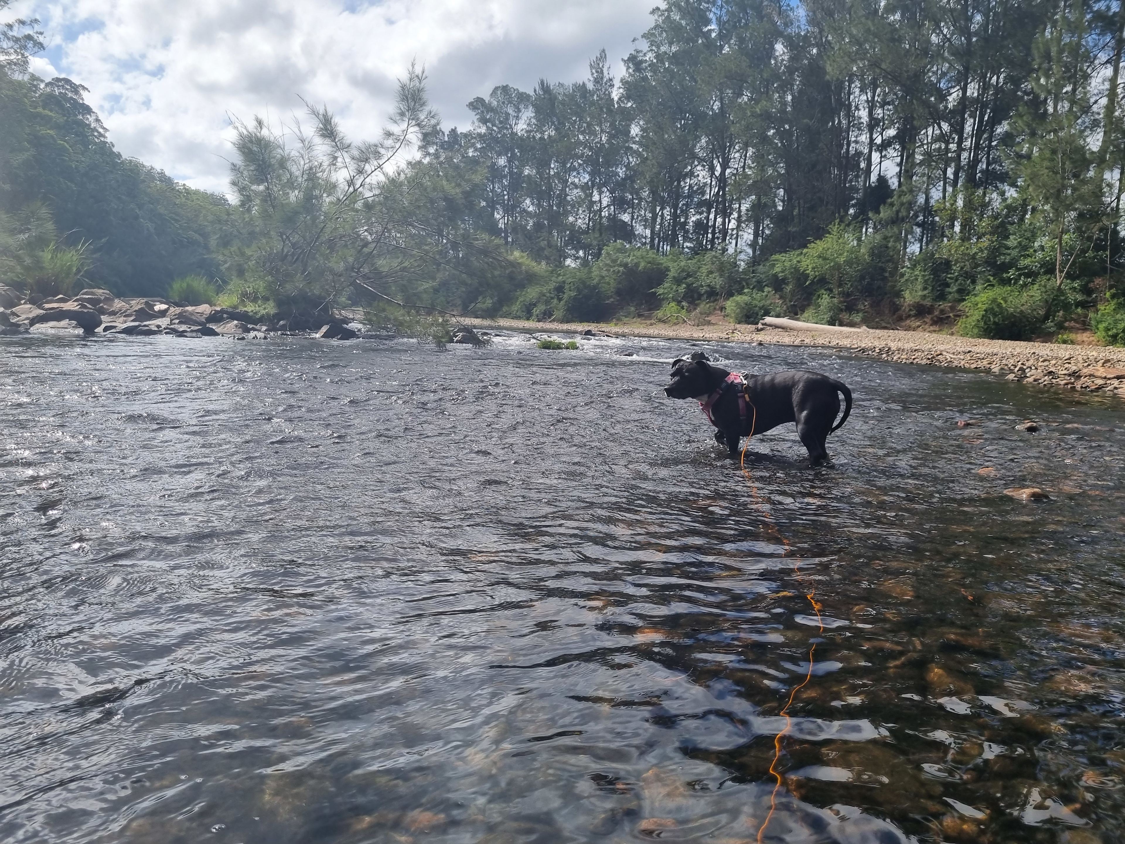 Bundilla River Camp
