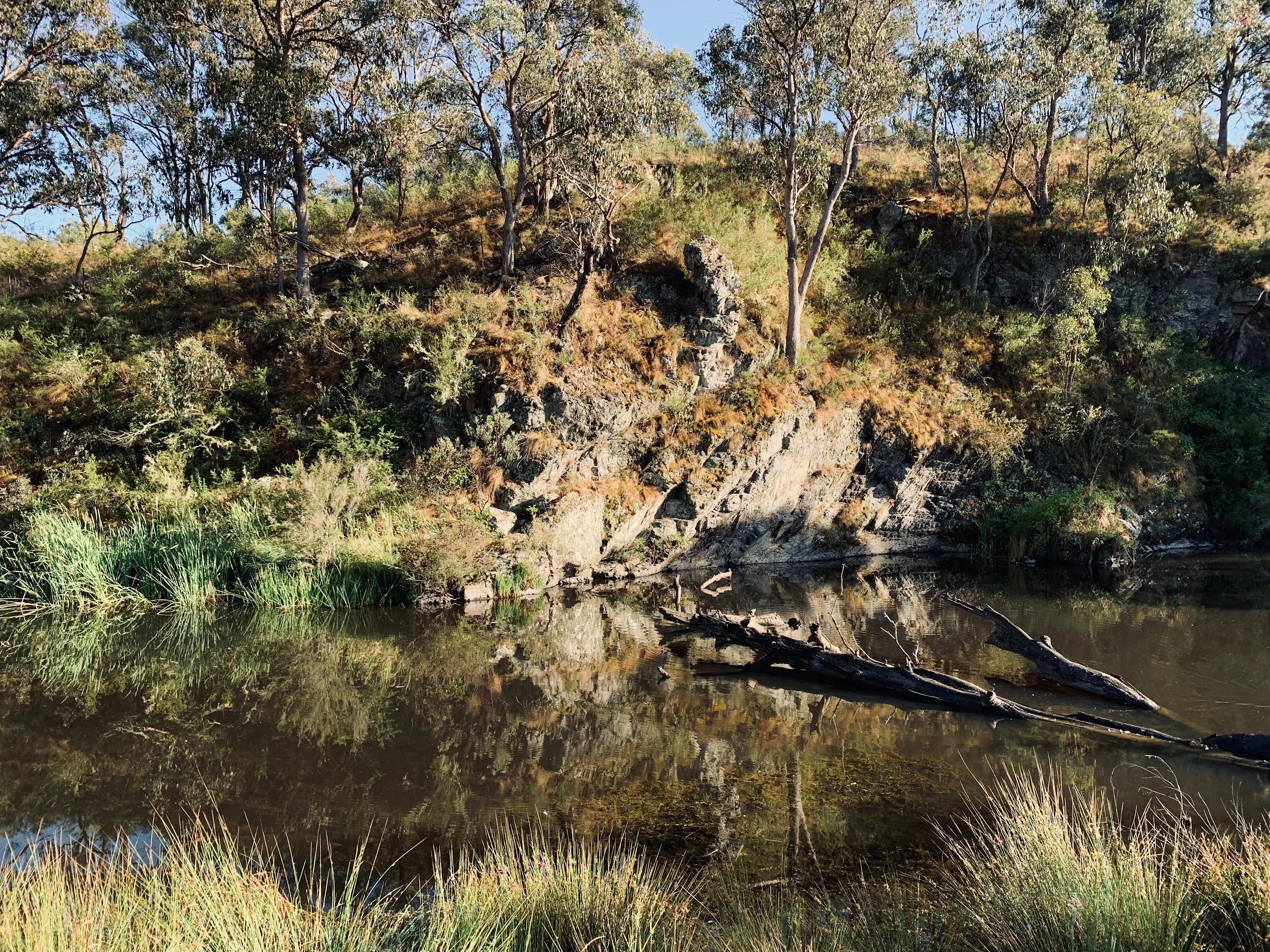 The main water hole where Platypus play and water dragons bask. You have exclusive access to this area during your stay.