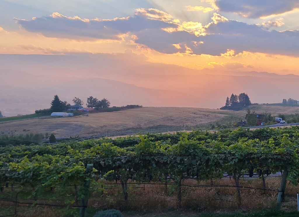 Catch some amazing sunsets from the winery lawn.