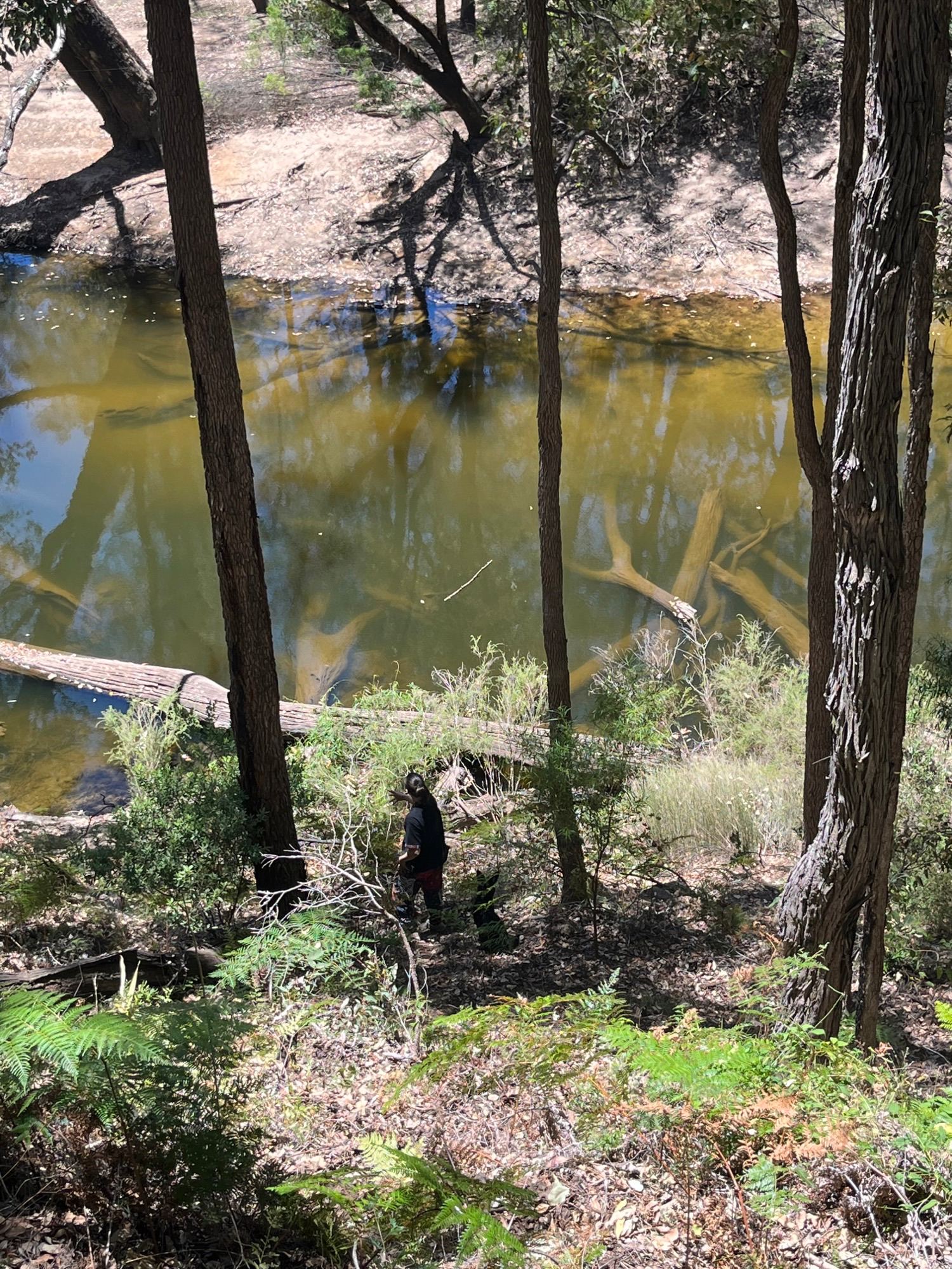 Many small and private landings to be found along the banks