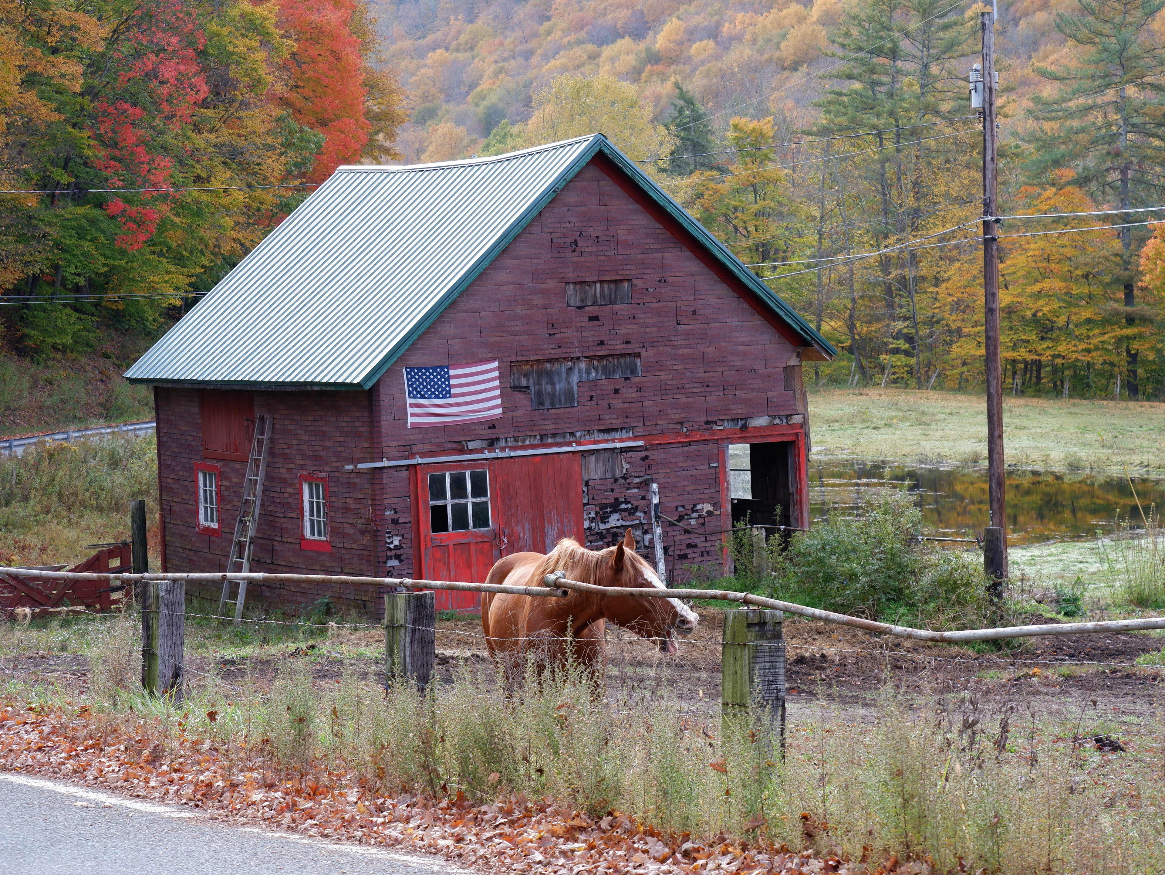 the horse barn on the way to kelly's cabin