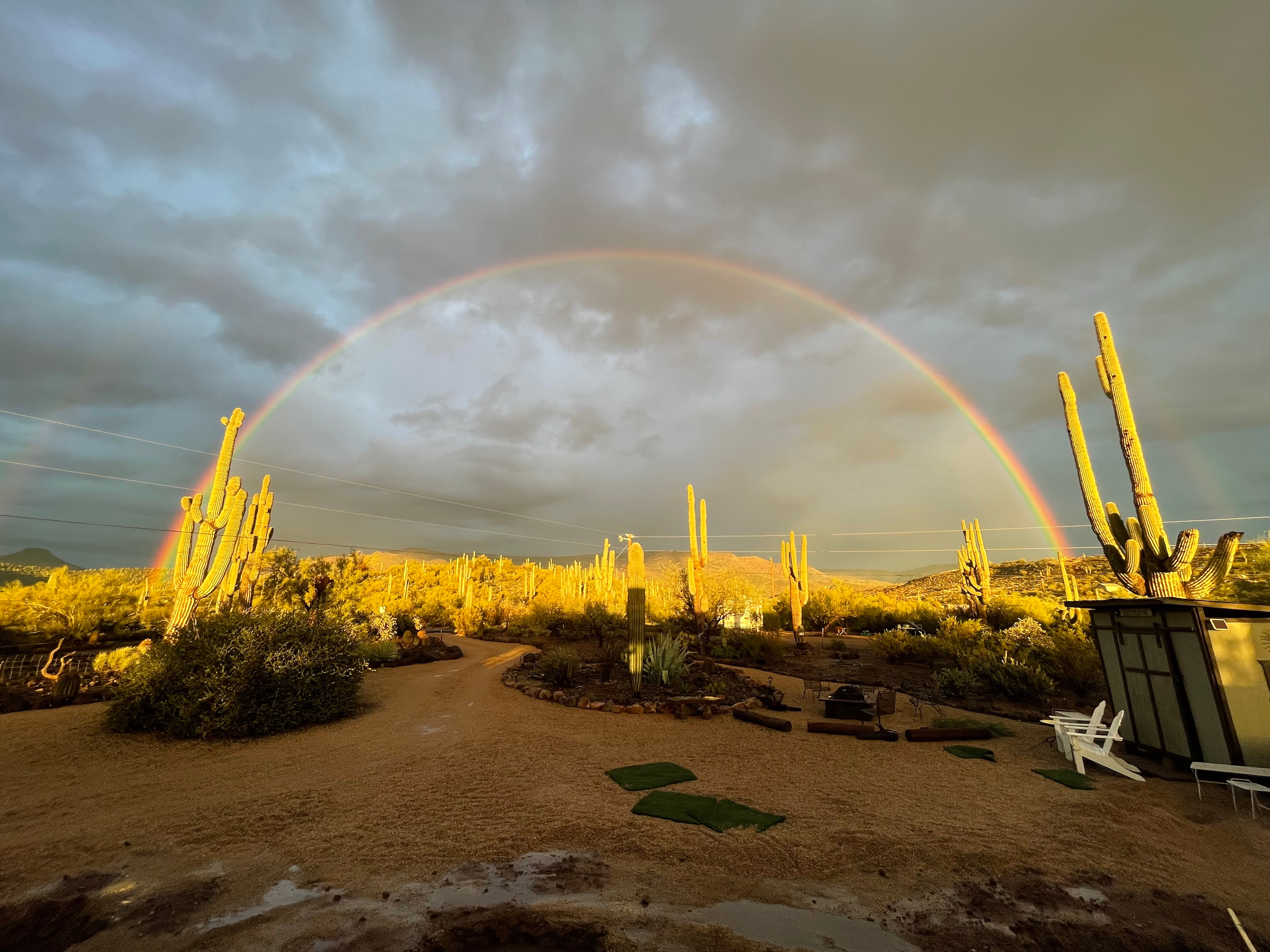 Saguaro Forrest @ Dragonfly Ranch