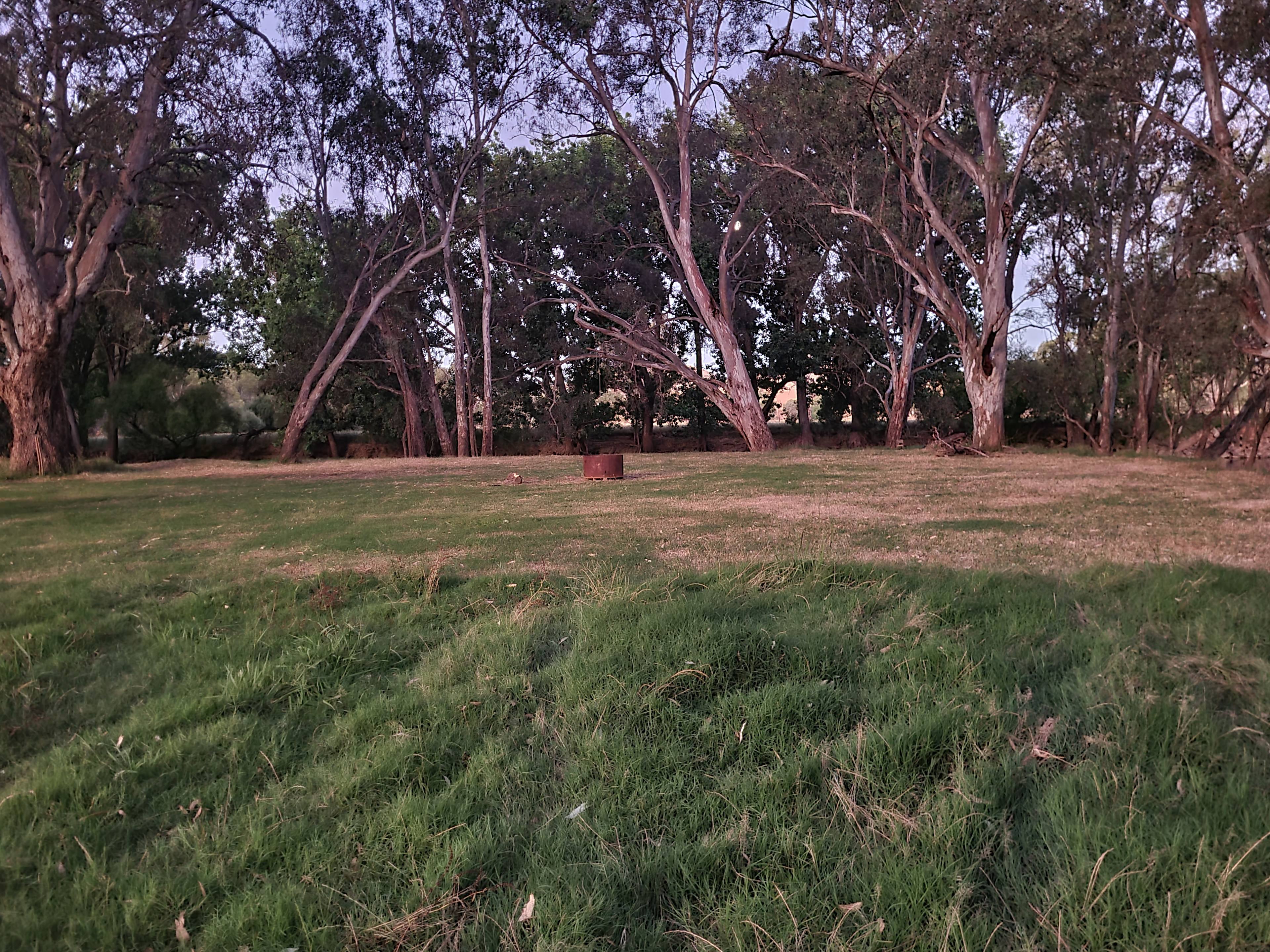 Willowood