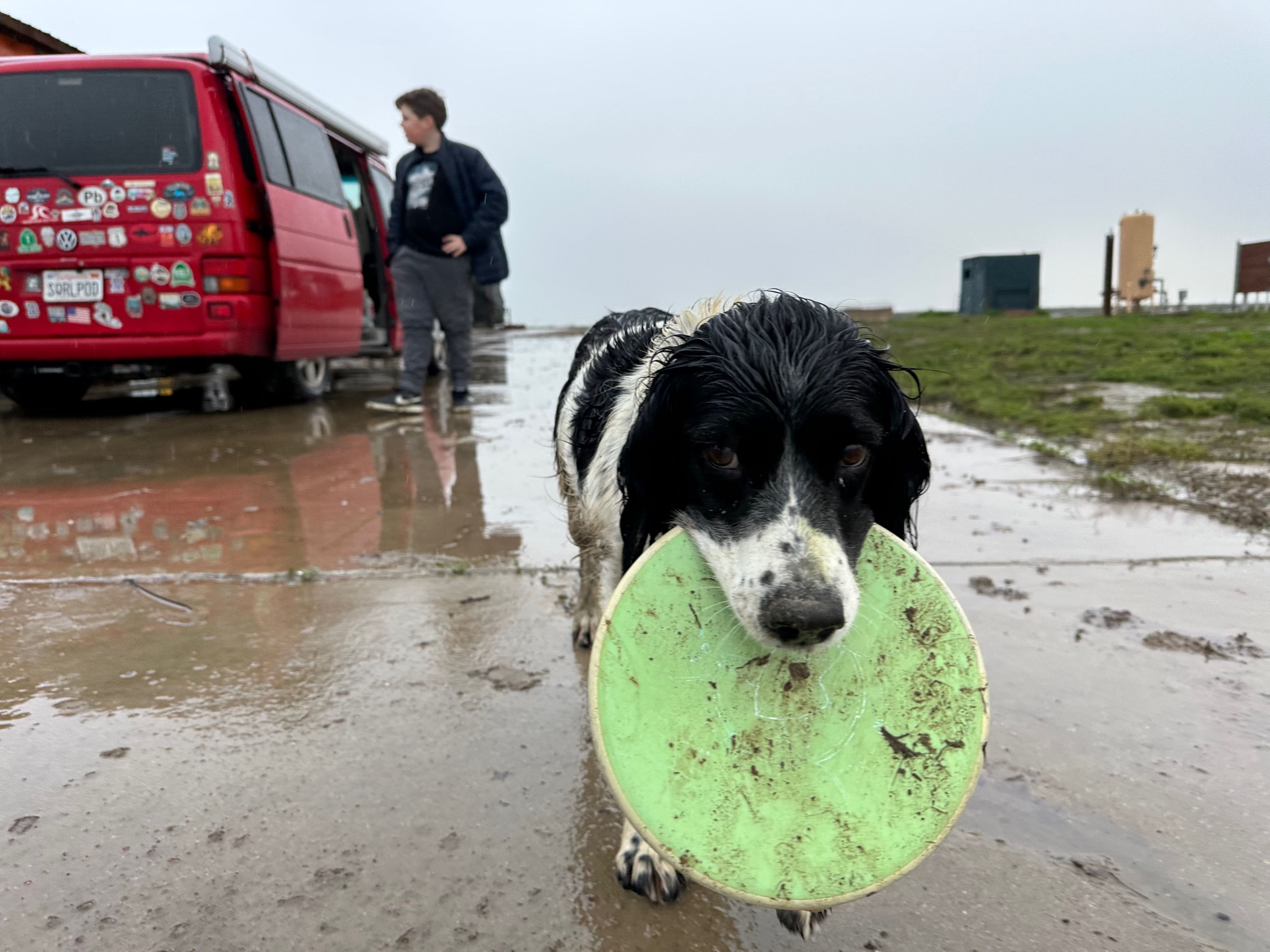 Sequoia Viewpoint Oasis