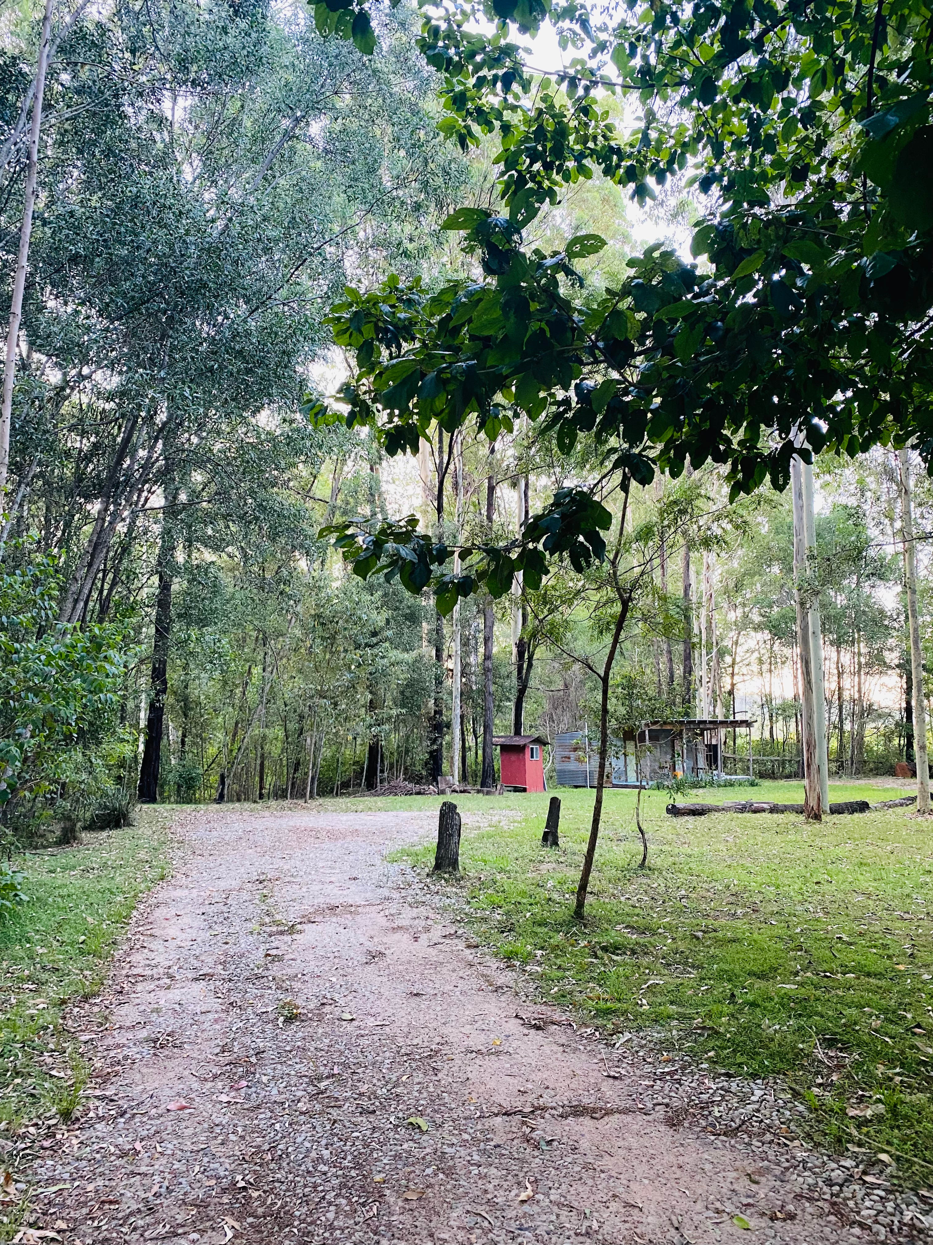 Driveway into campsite