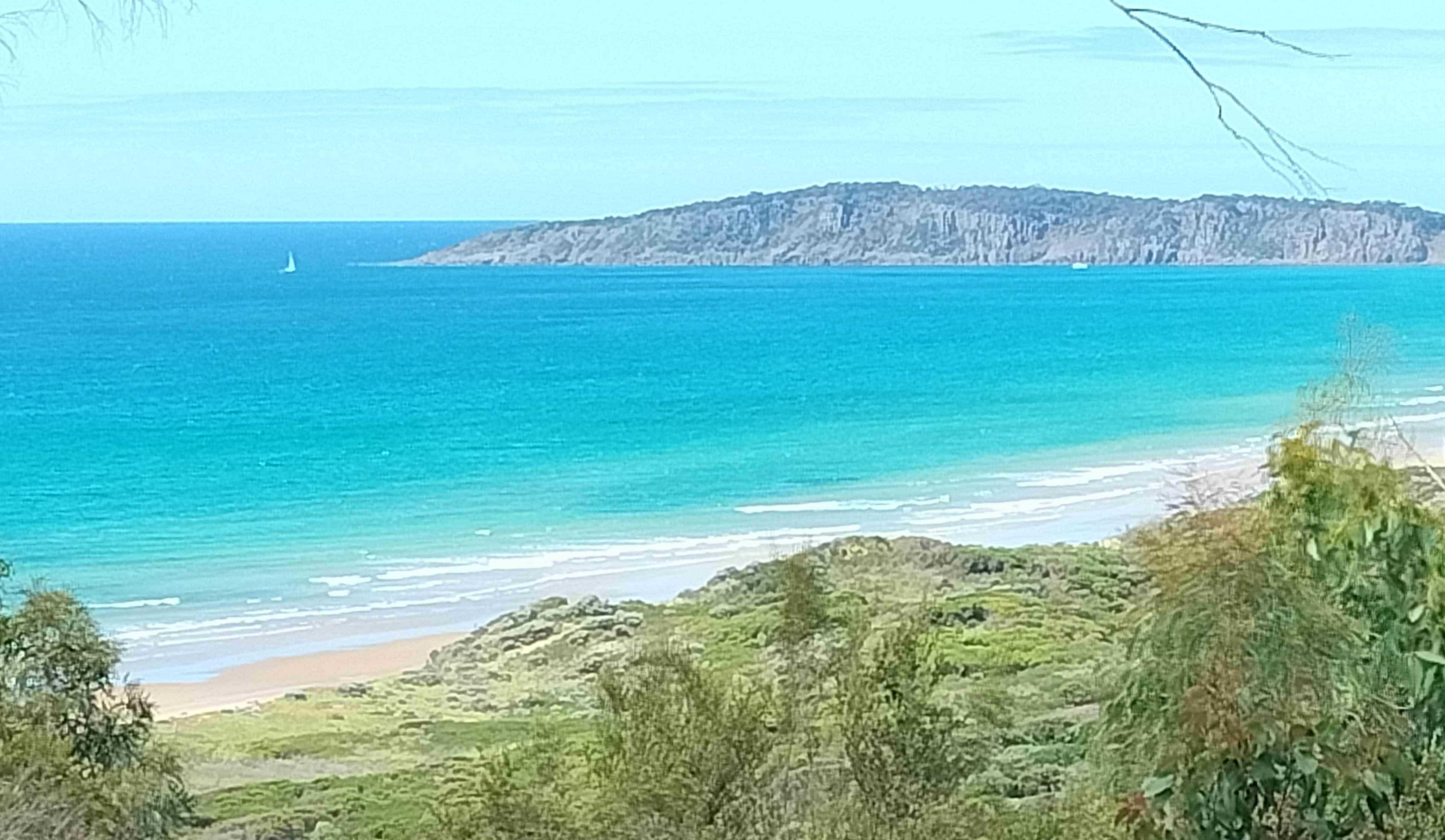 The Y at Badger Head