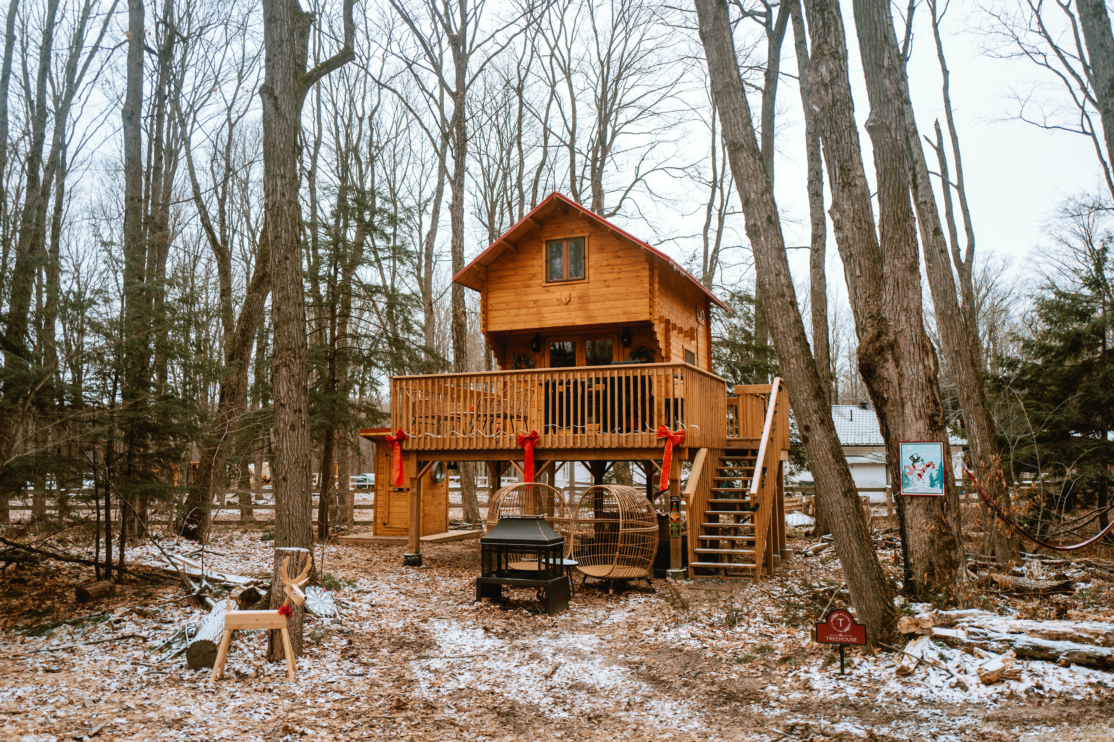 The Taiga Animal Sanctuary