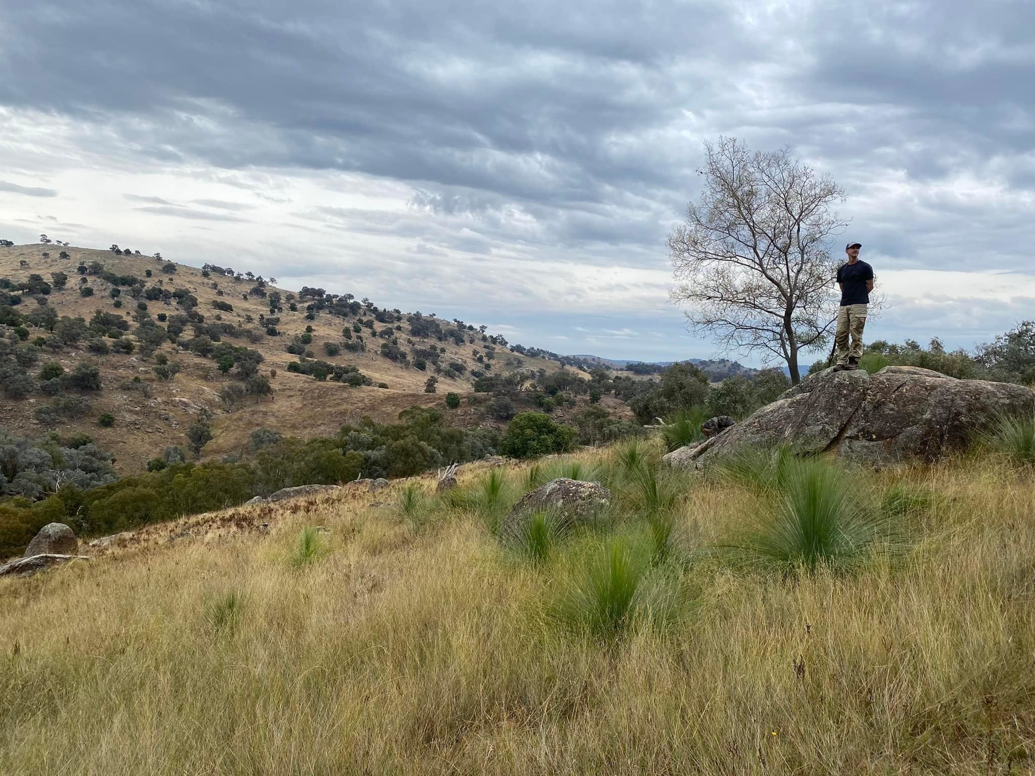 Walking over the back with young grass trees
