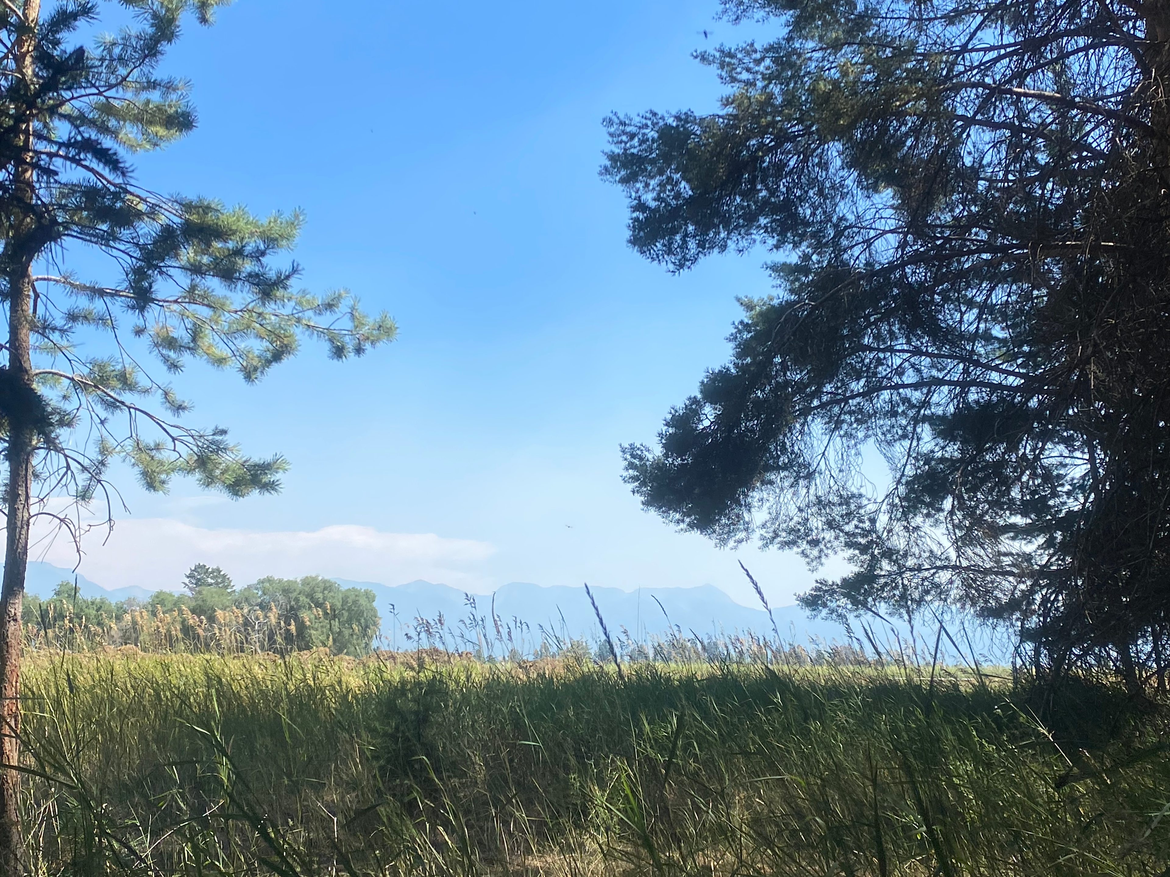 Scenic Family Farm