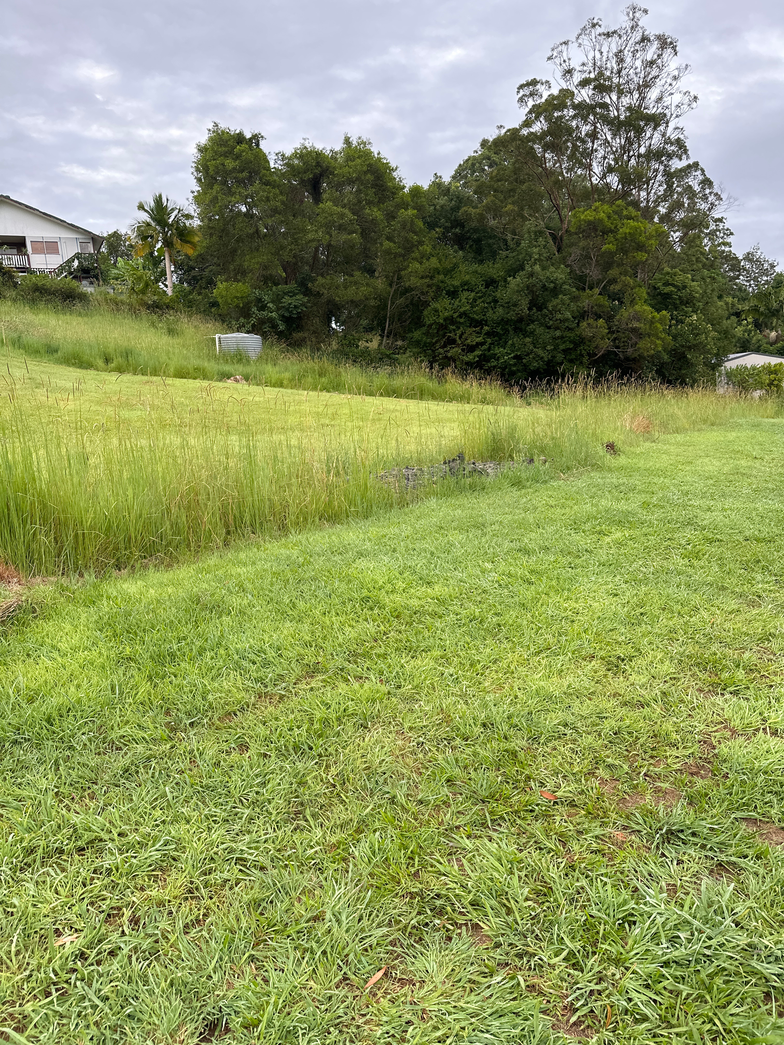 Nimbin Village Sanctuary