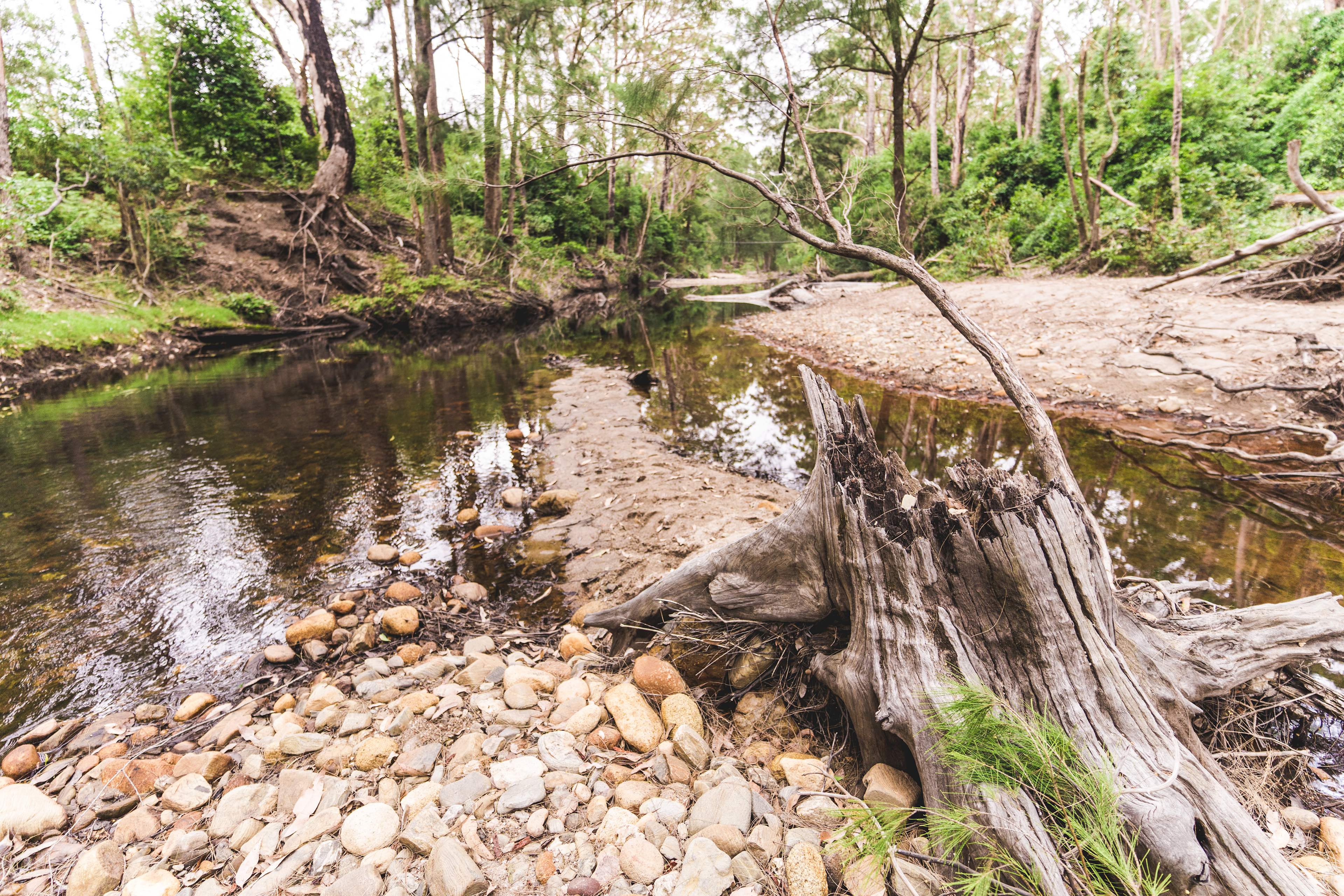 creek