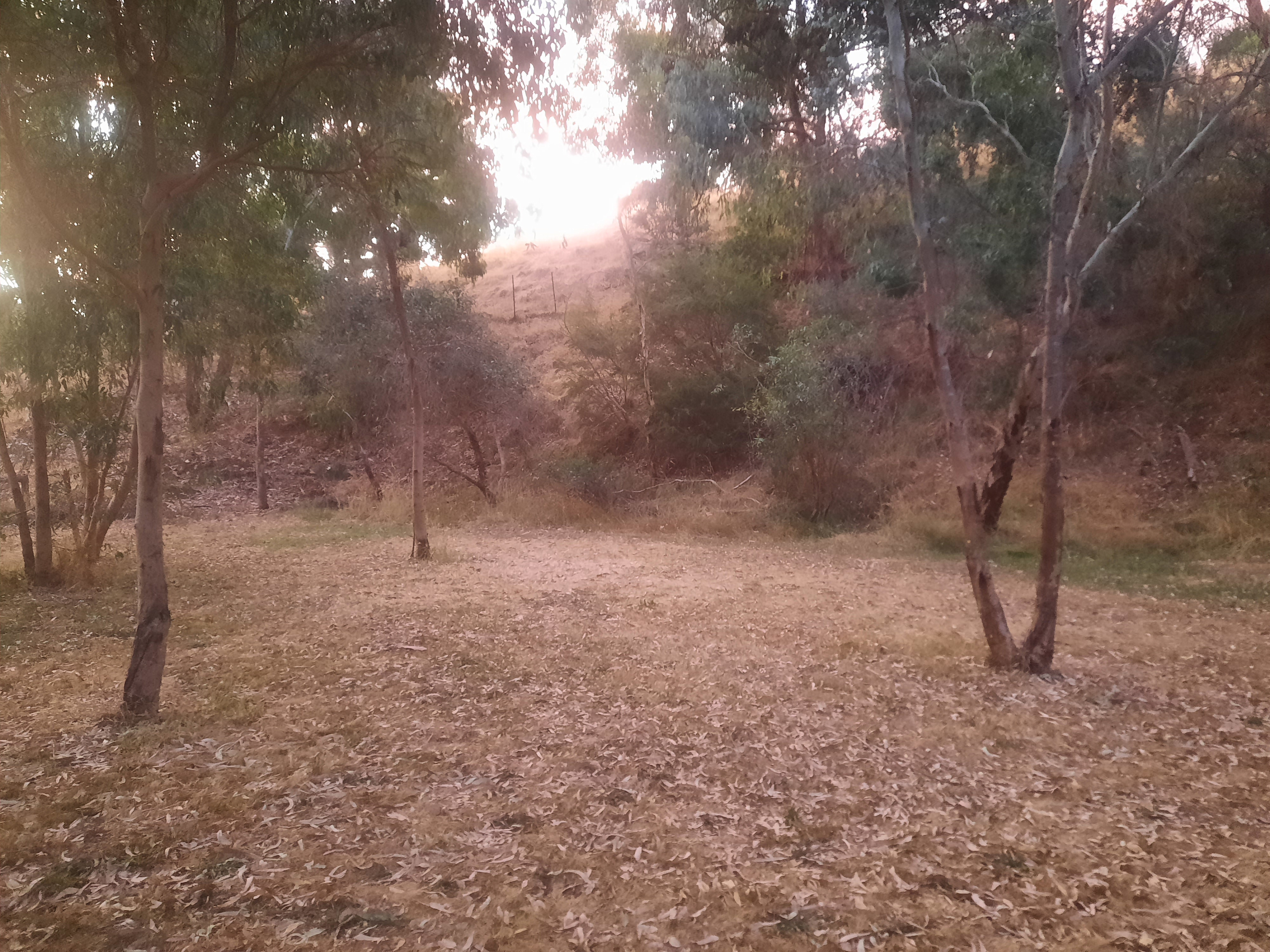 This is Willows 1 site location. 