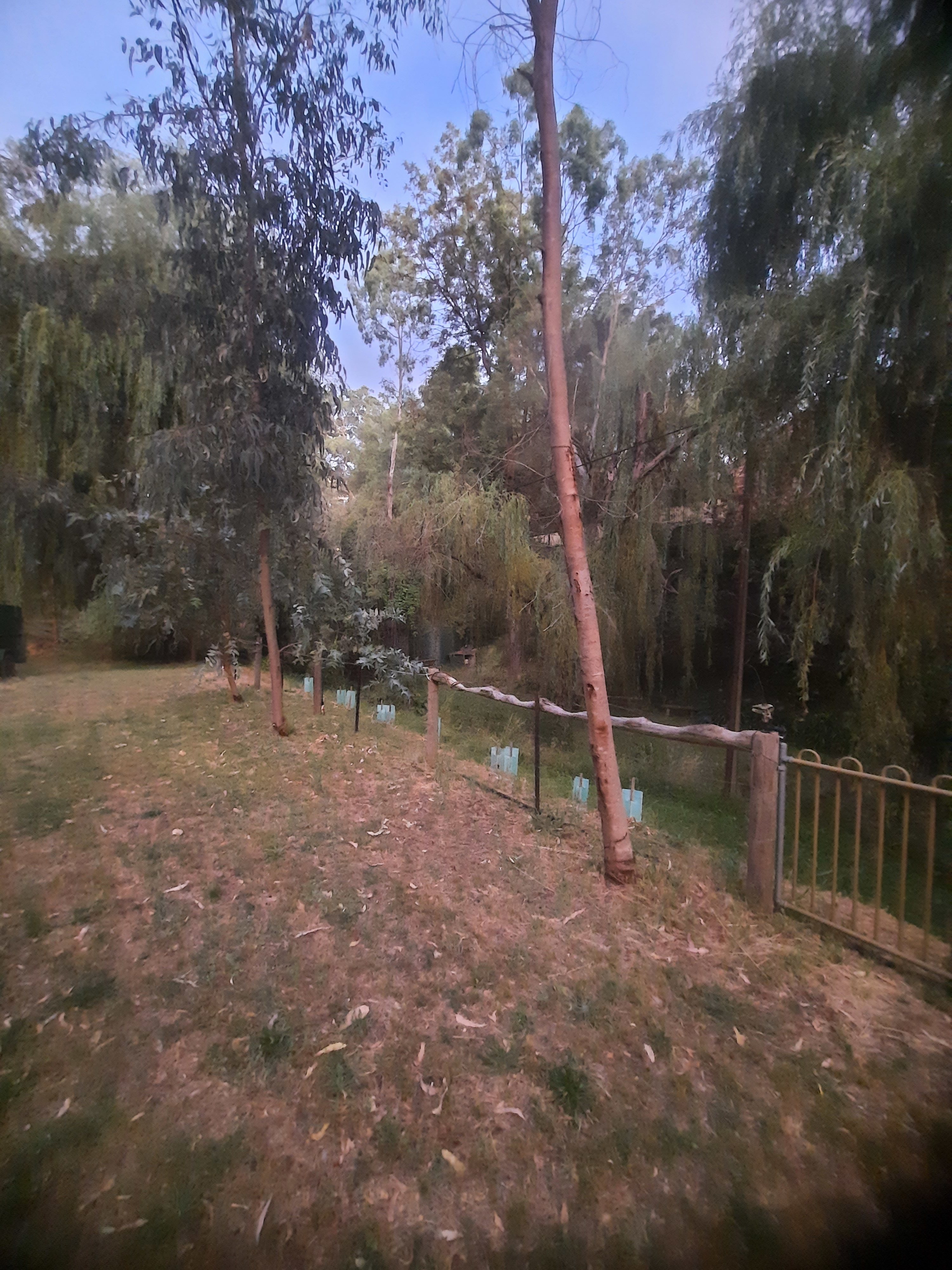 Camp Toondilla (Clarendon SA)