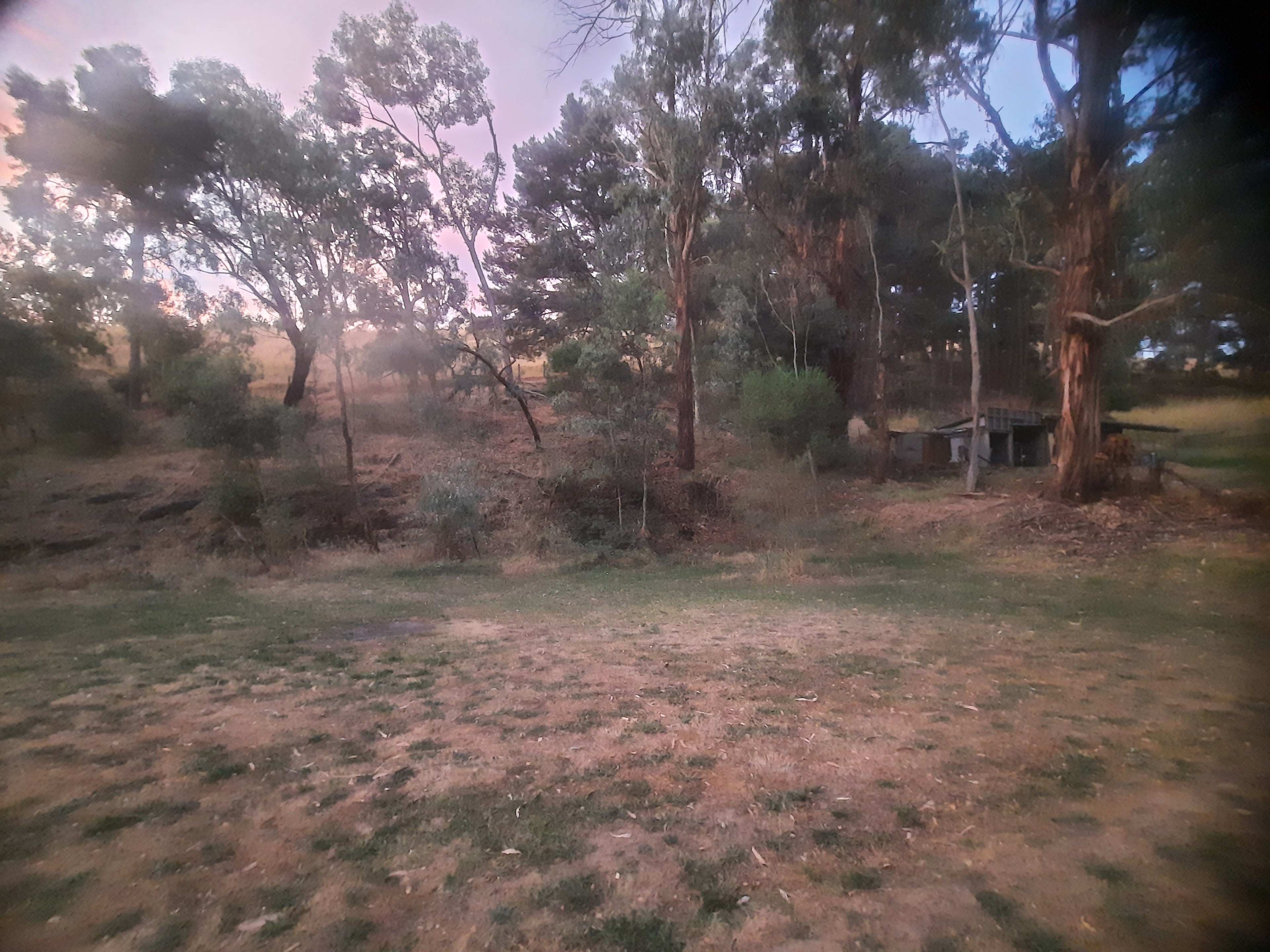 Camp Toondilla (Clarendon SA)
