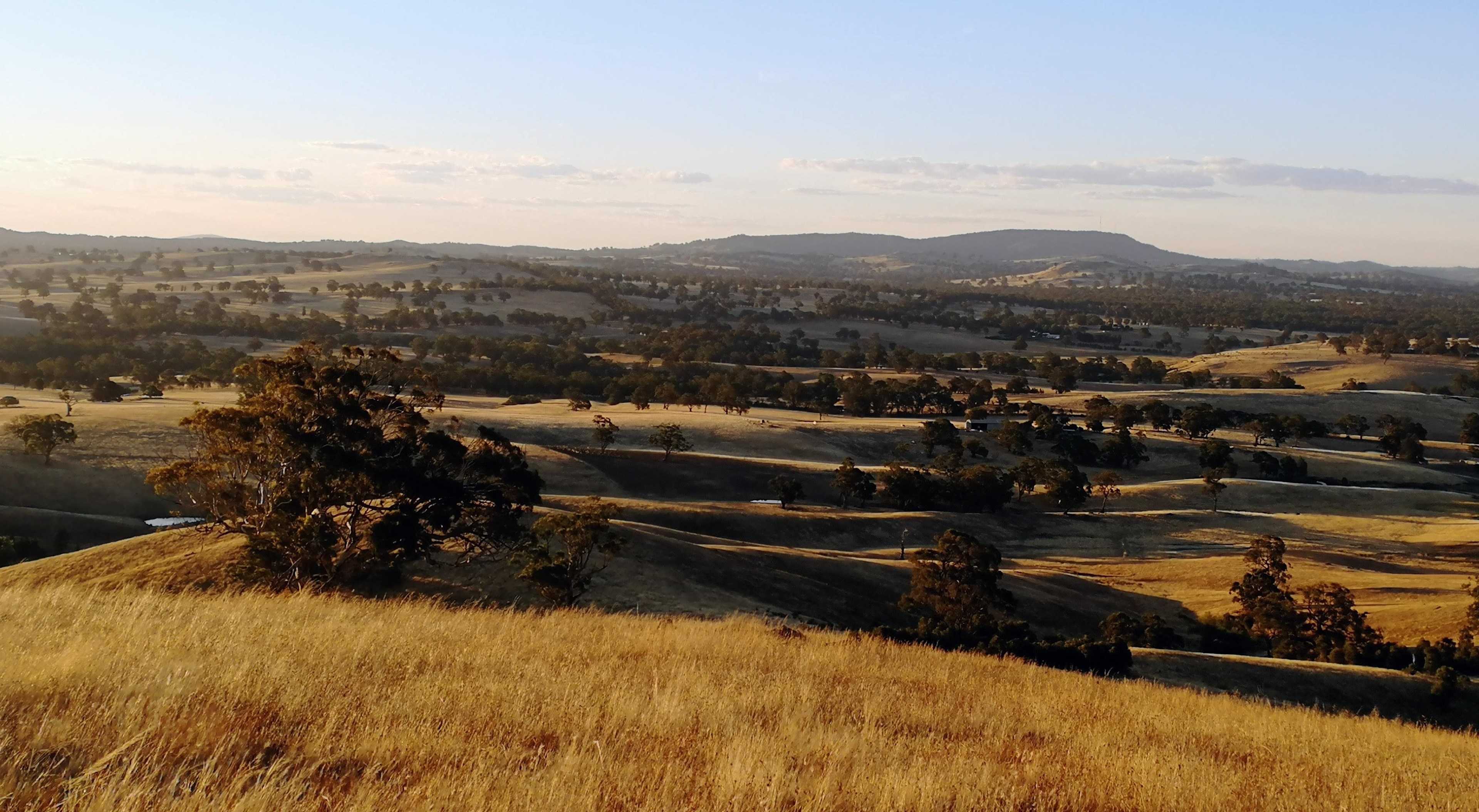 Redbank156 camping / PITCHED cabins