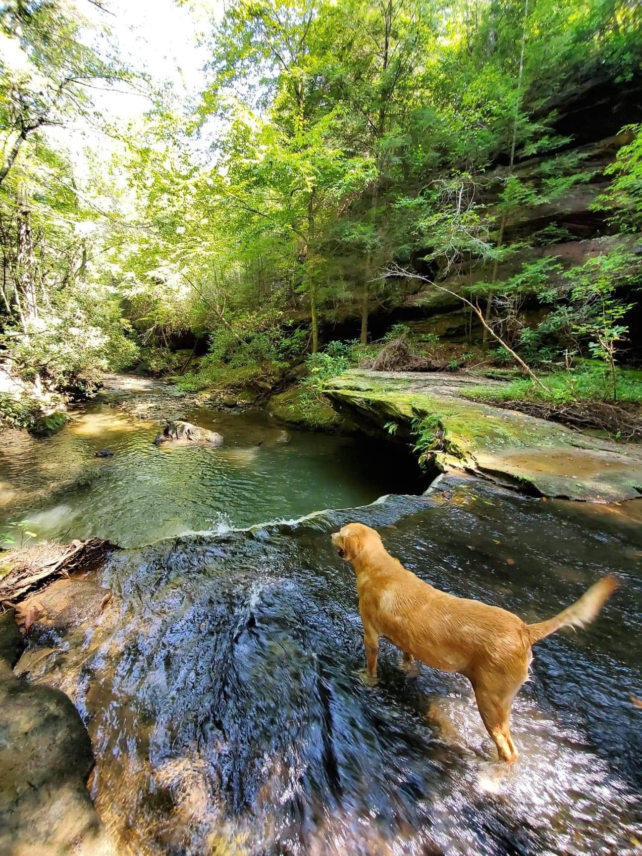 Breathtaking Waterfall & Campsite