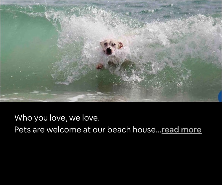 Beach Shack Room 🐶 Pet Friendly