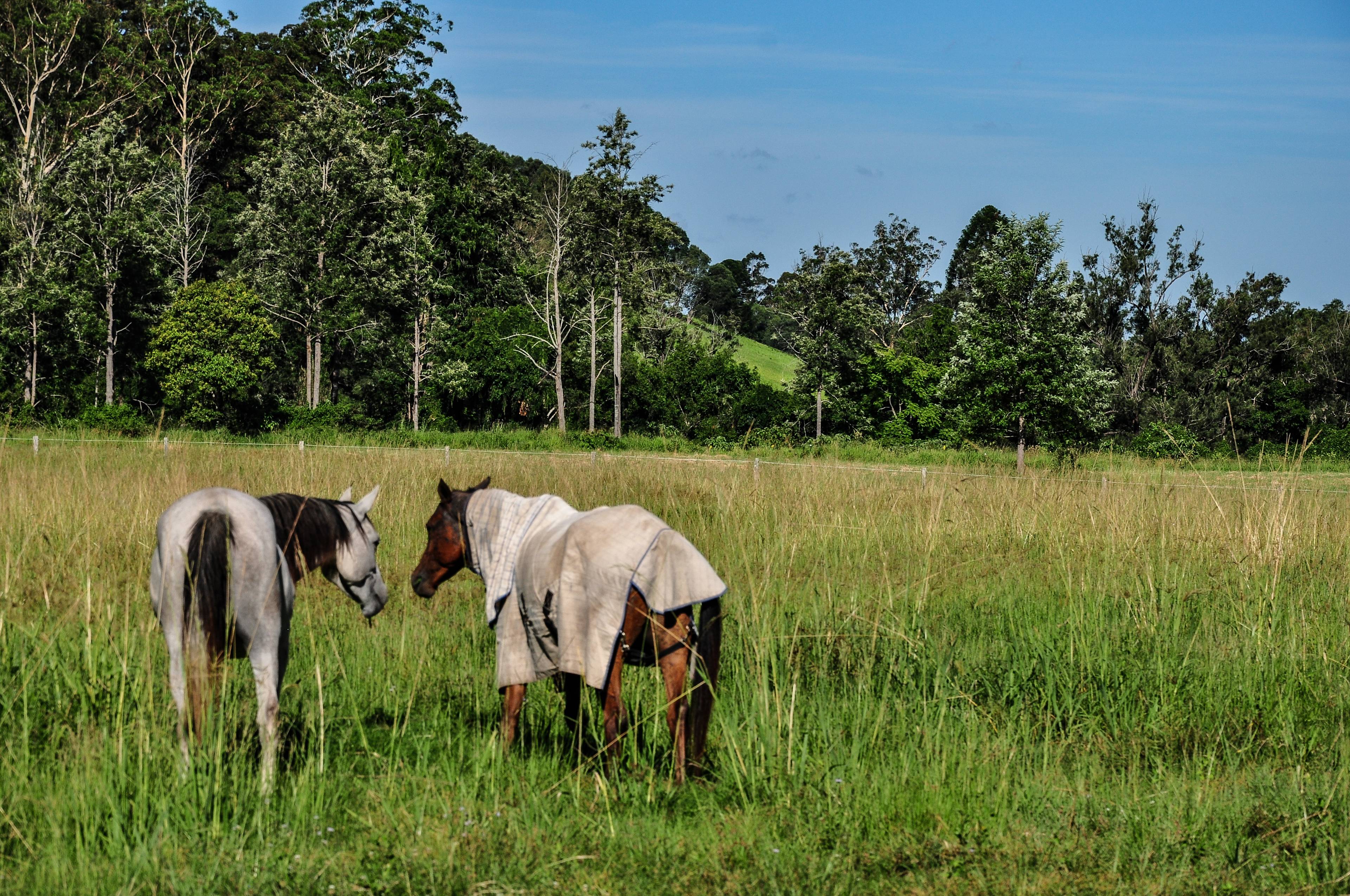 Yabba Creek Farm 12/22