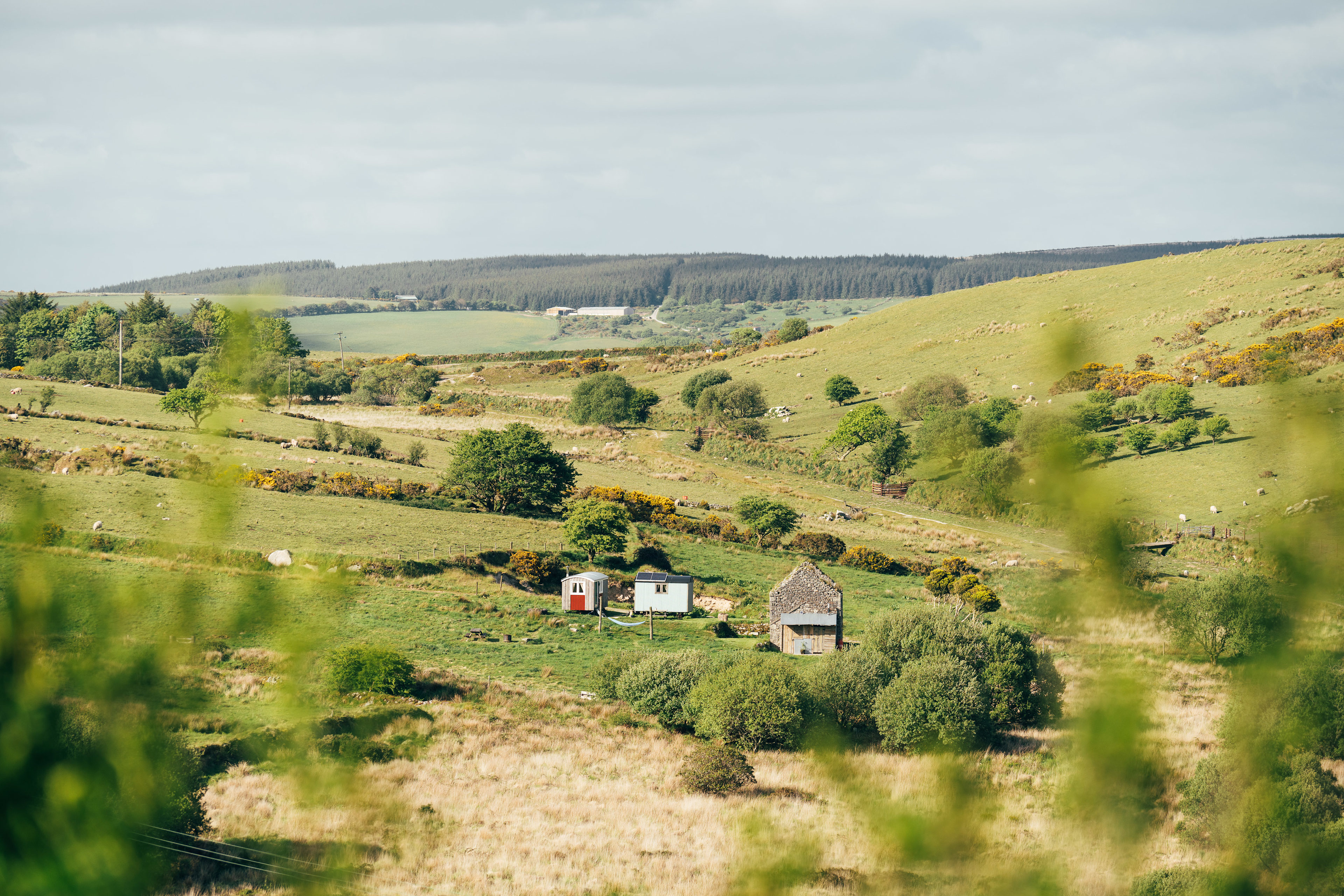 Diddylake Shepherd Huts