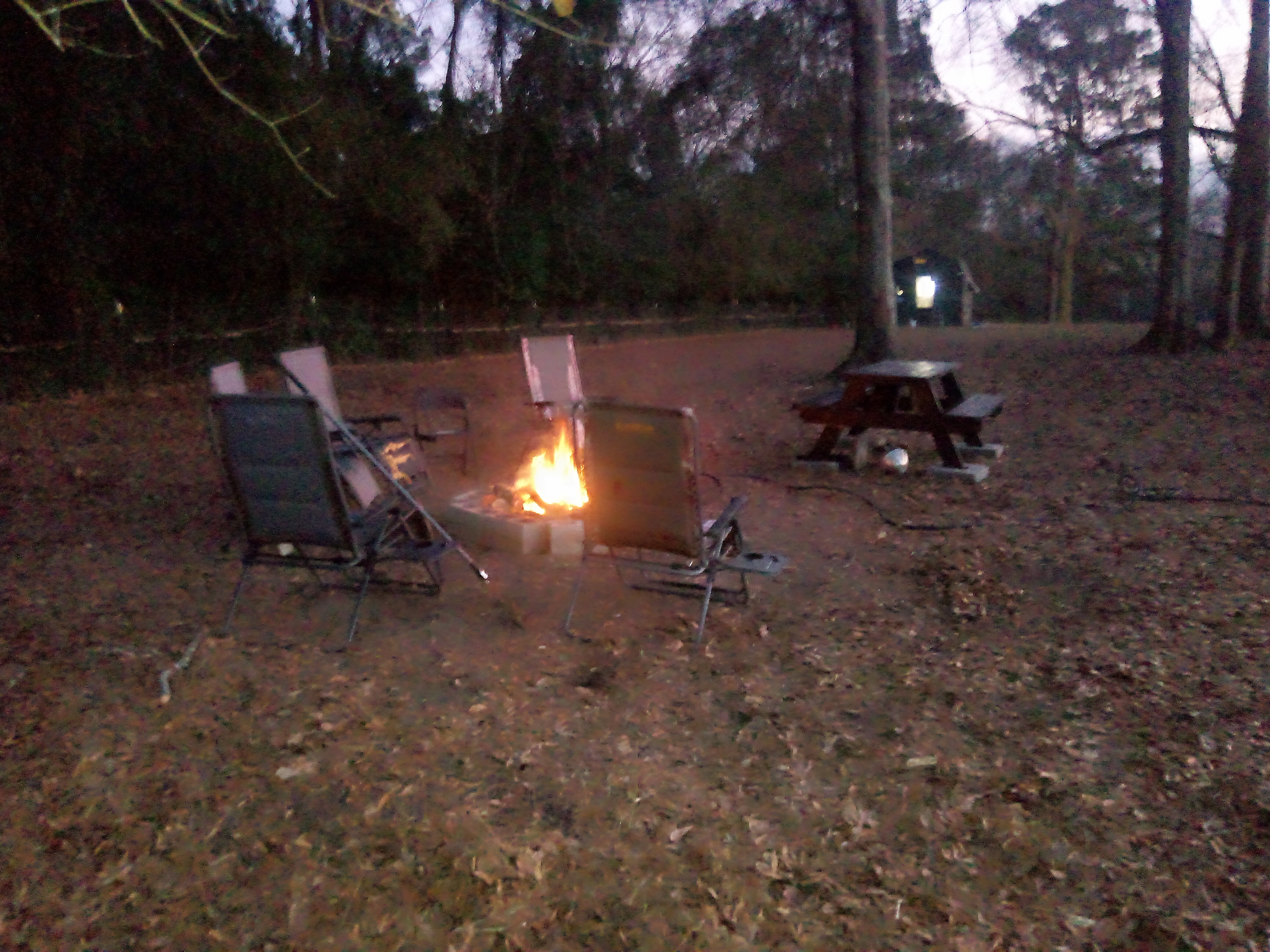 STRATEGIC LLC, Learn To Redneck 101