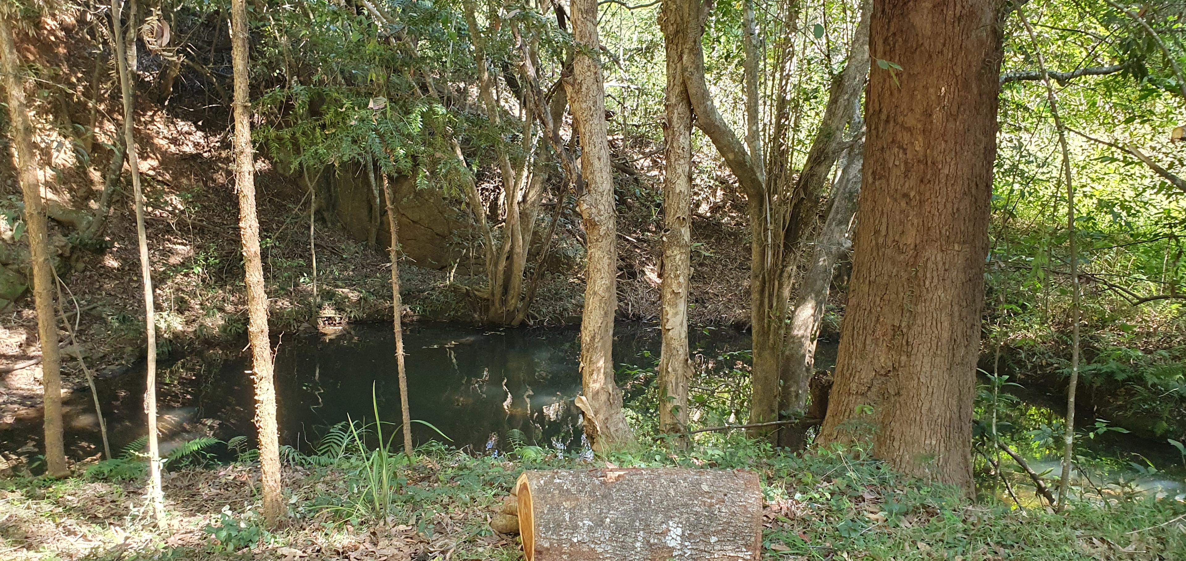 Private swimming hol