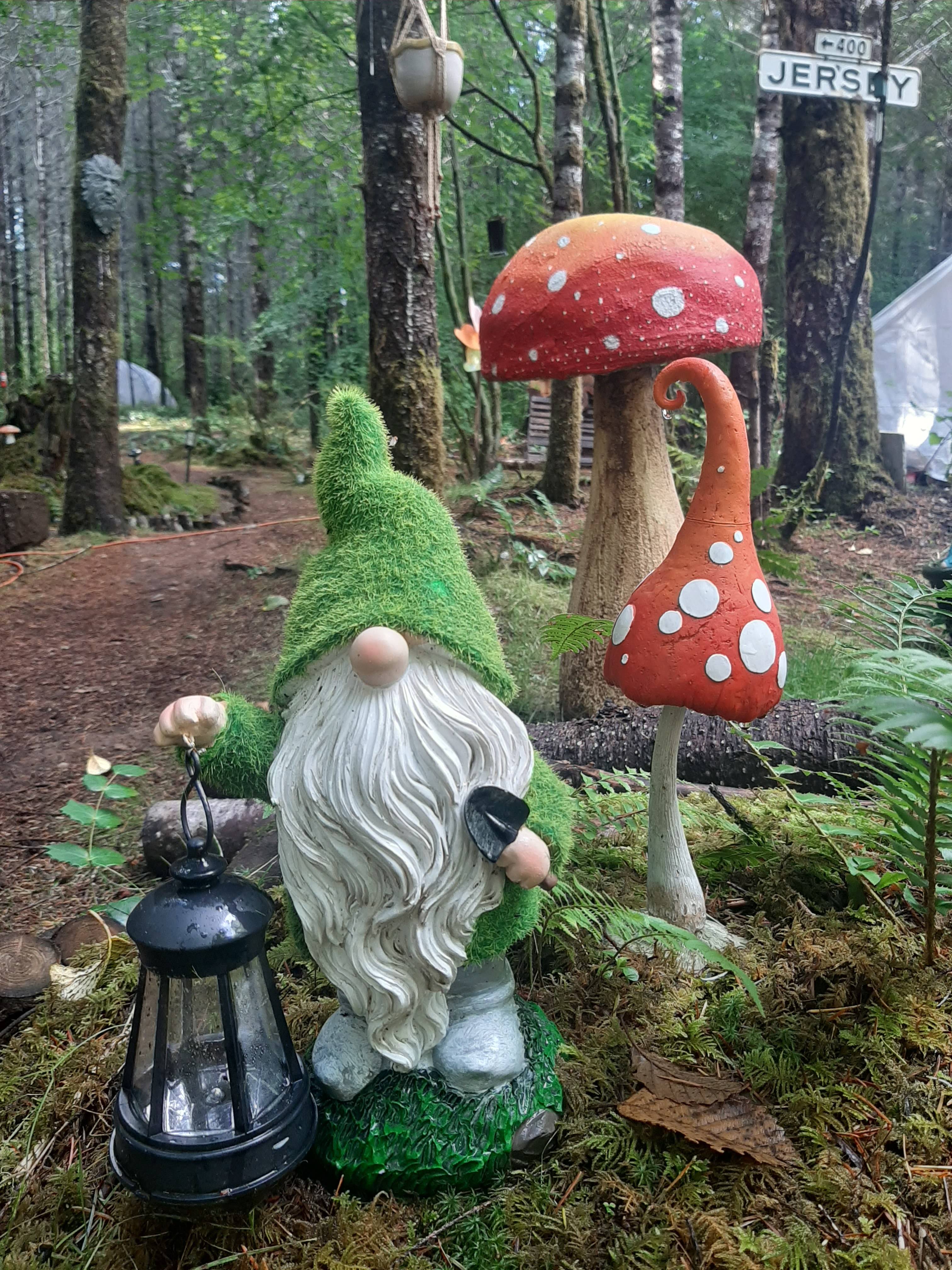 Elfendahl Forest