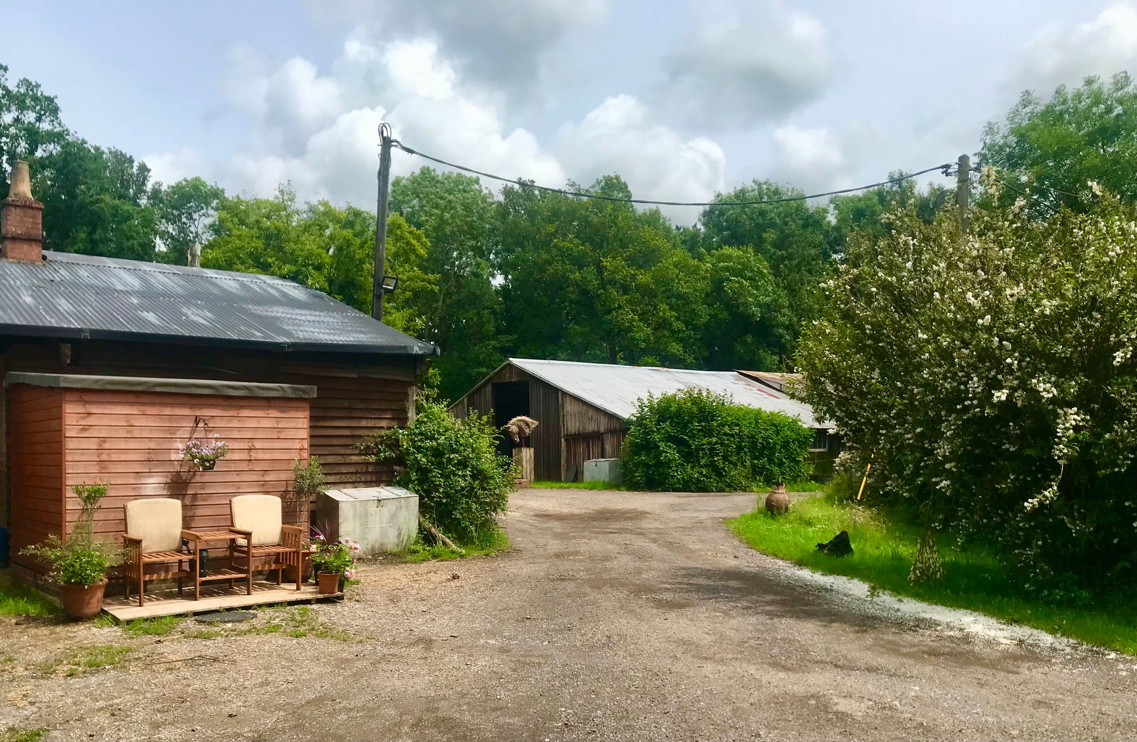 stable yard at the plantation
