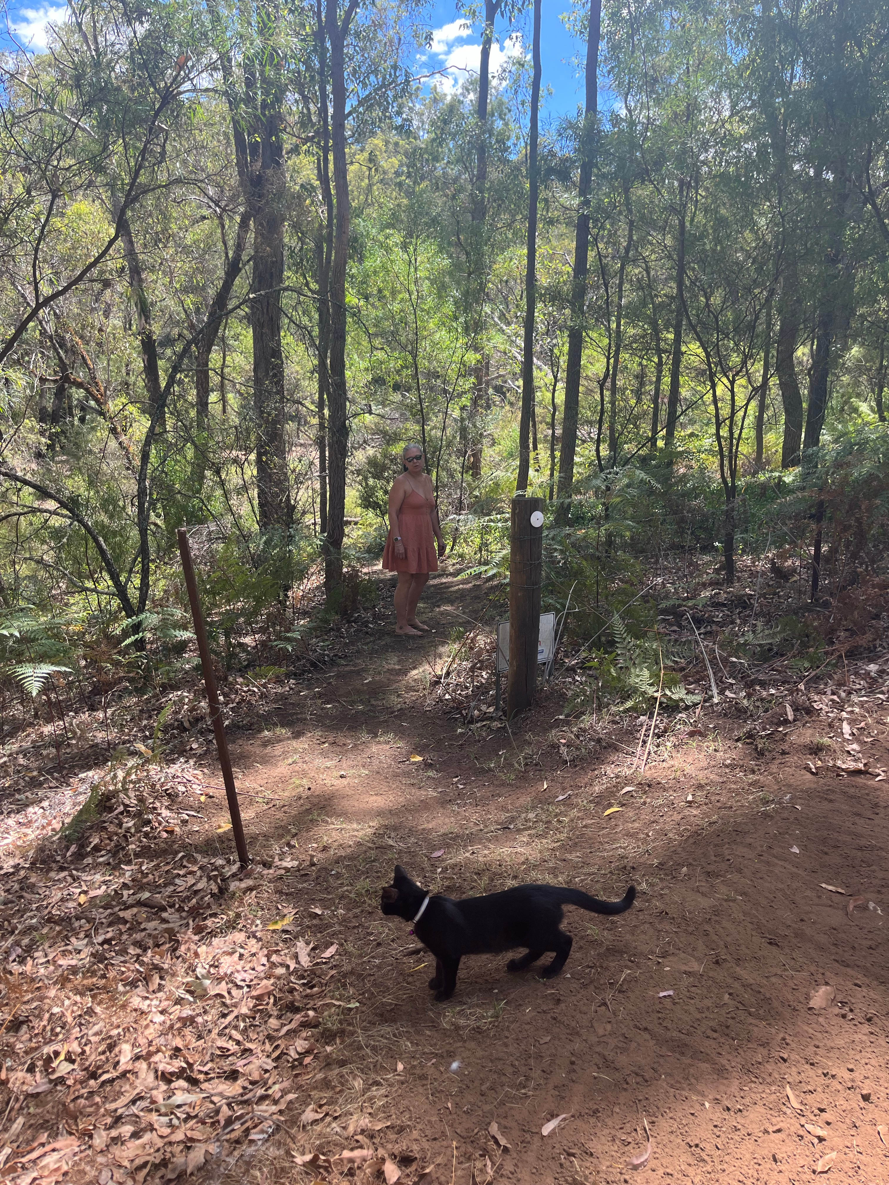 Access to the water can be via a couple of nice and easy paths like this one, or if you prefer, like the hill climbing effort that you see Miss Meex tackling in the next pic. Its entirely up to you.