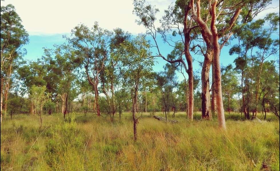 Millmerran Woods Estate