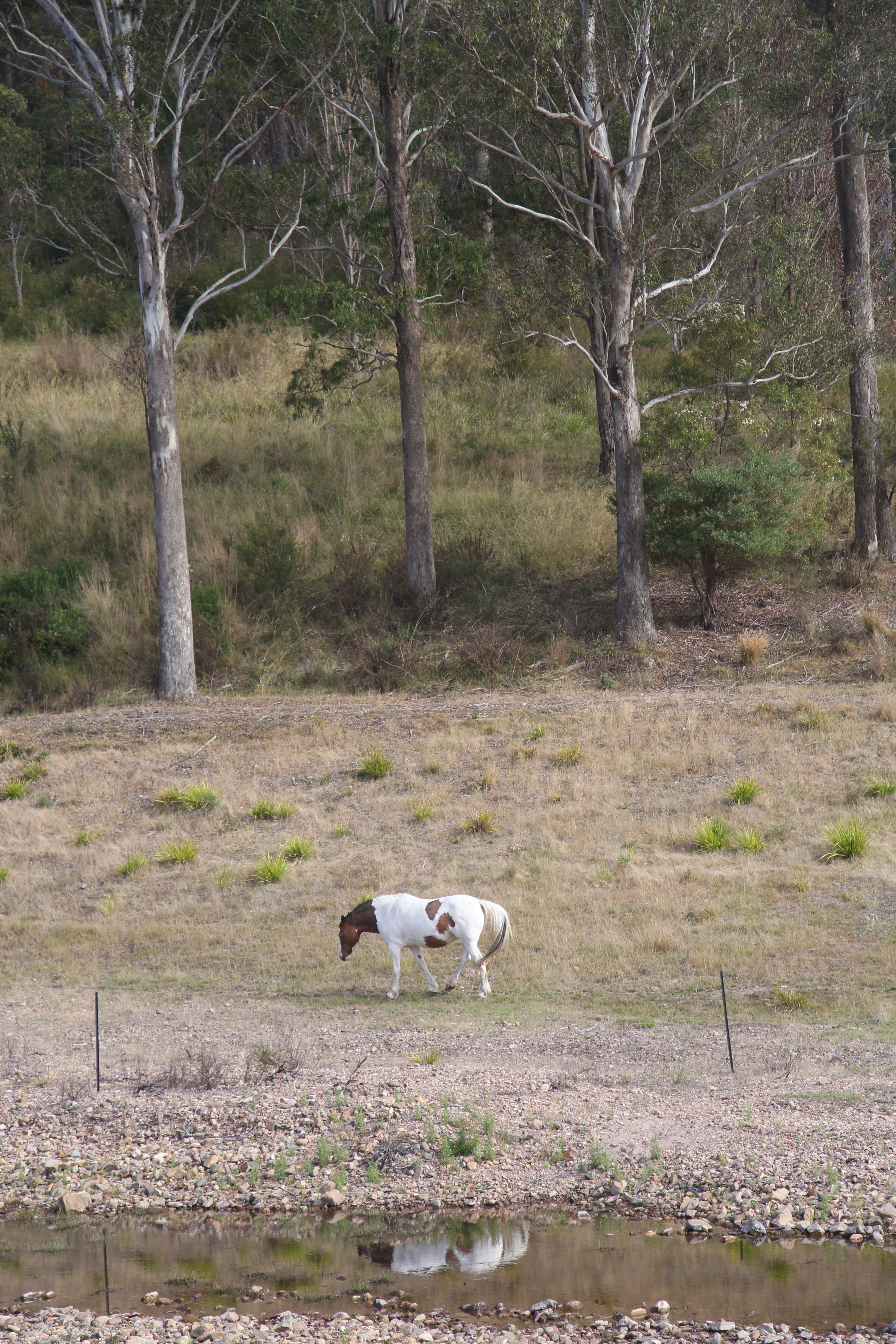 Merimbula Camping