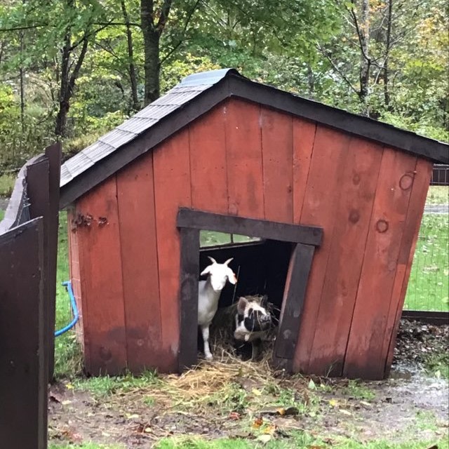 The Renovated Barn at Seneca Rocks