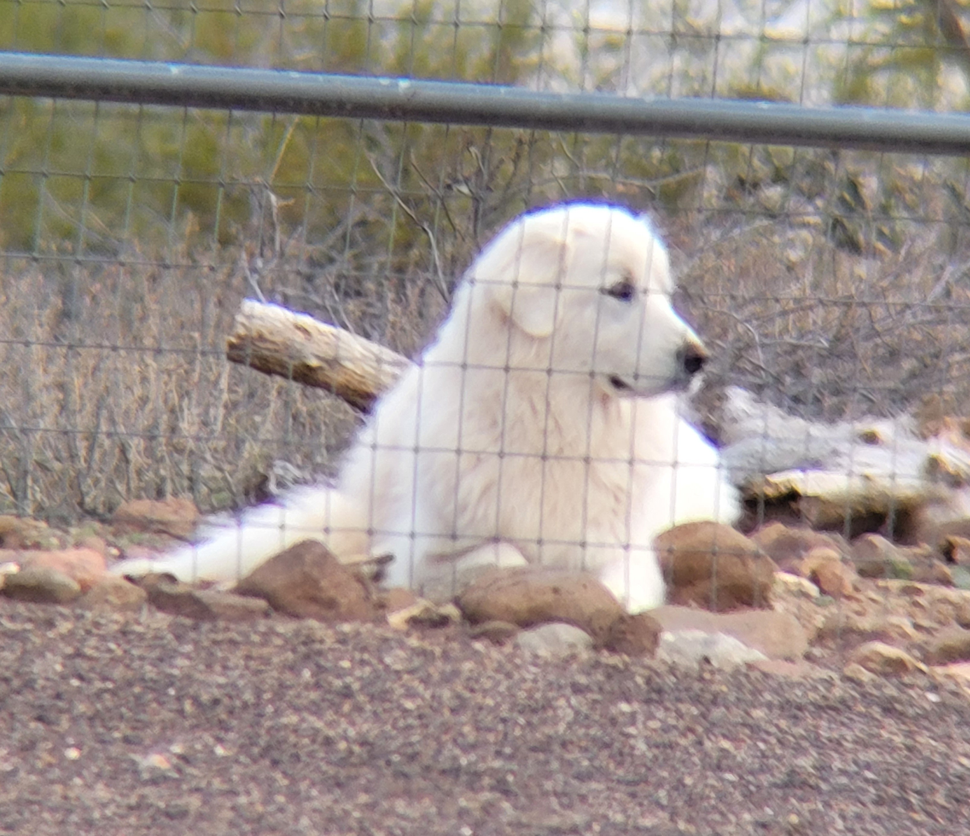 Mountain View Retreat