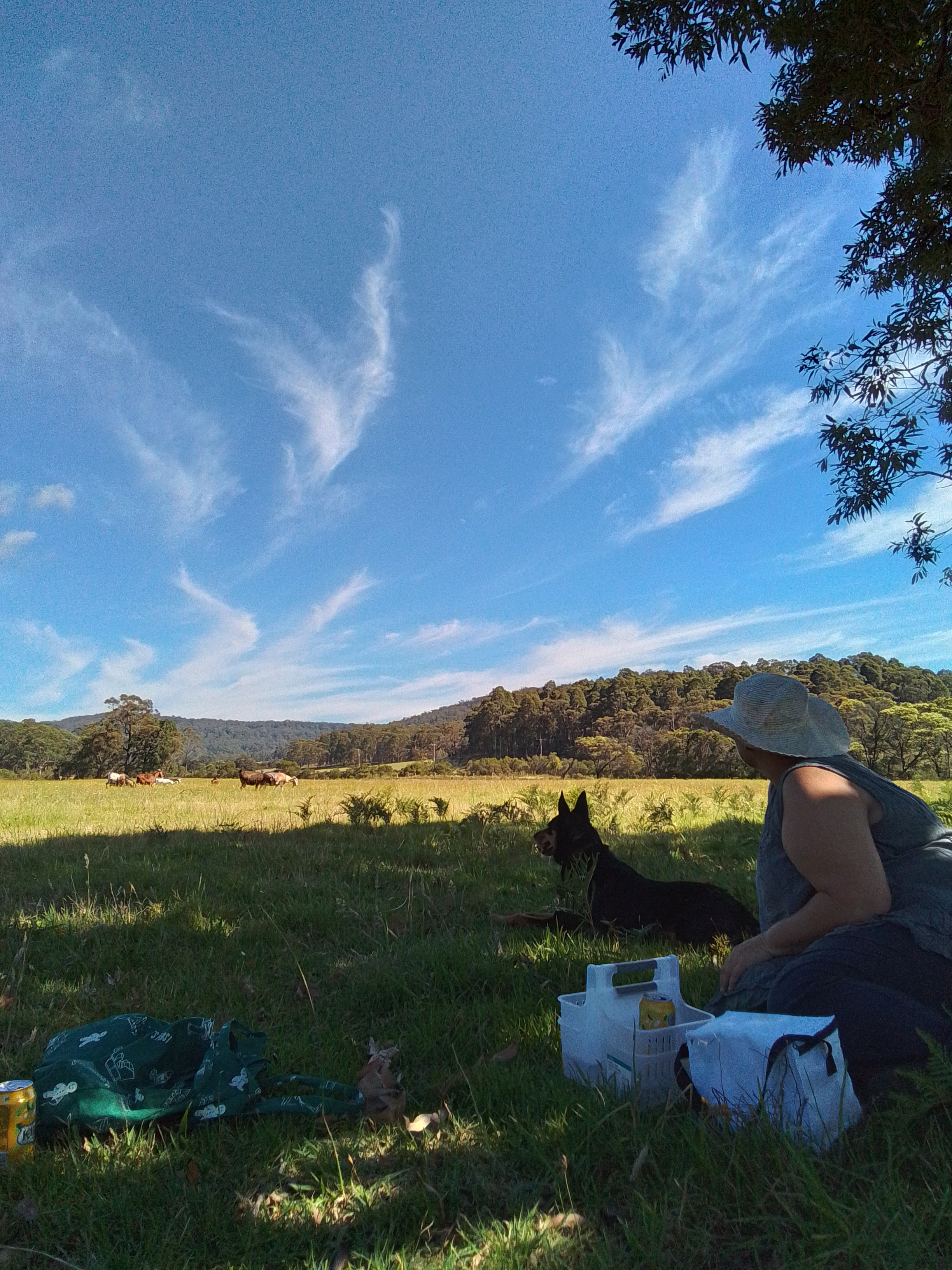 Experience serenity!