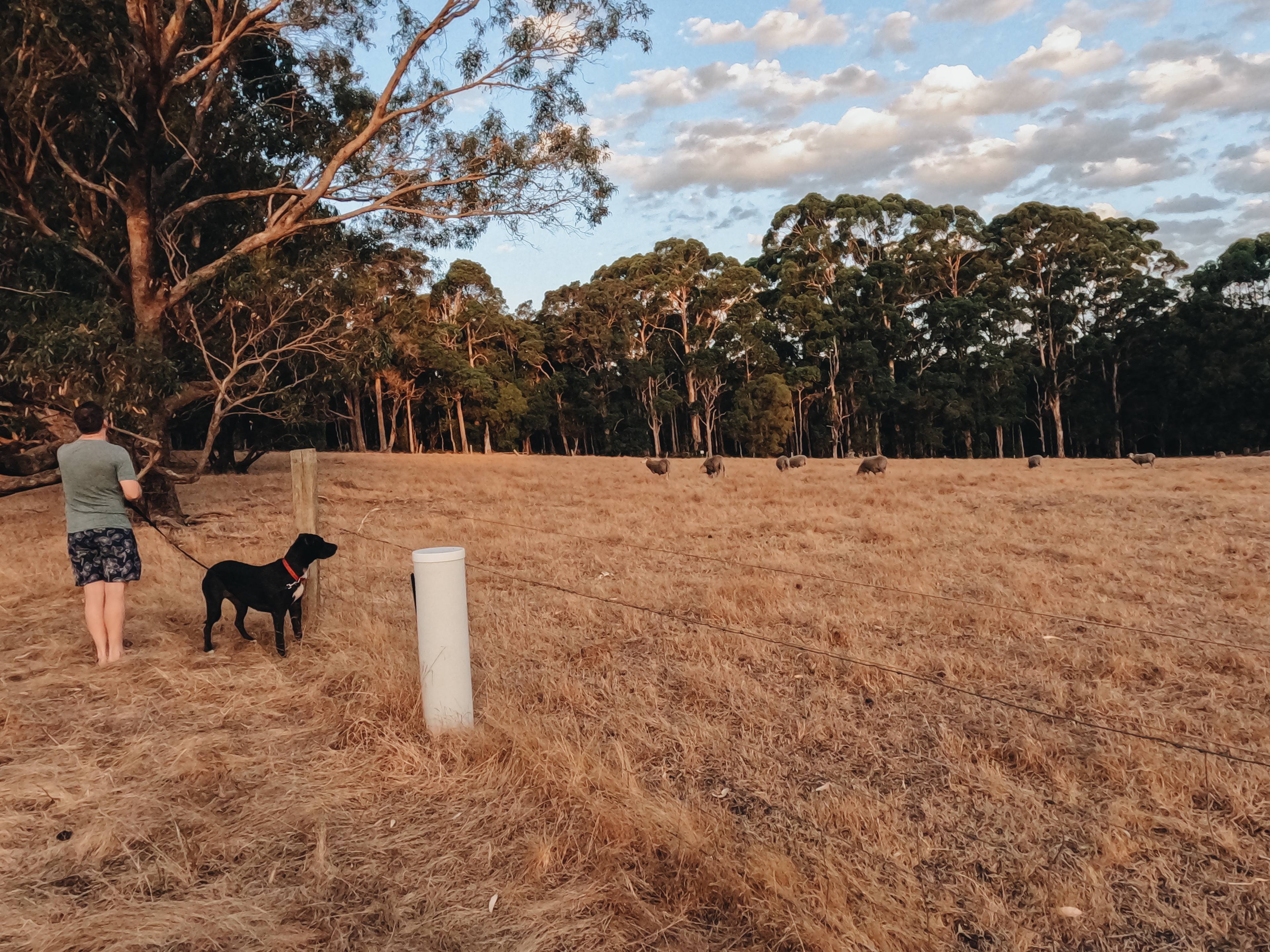 Beautiful area to walk