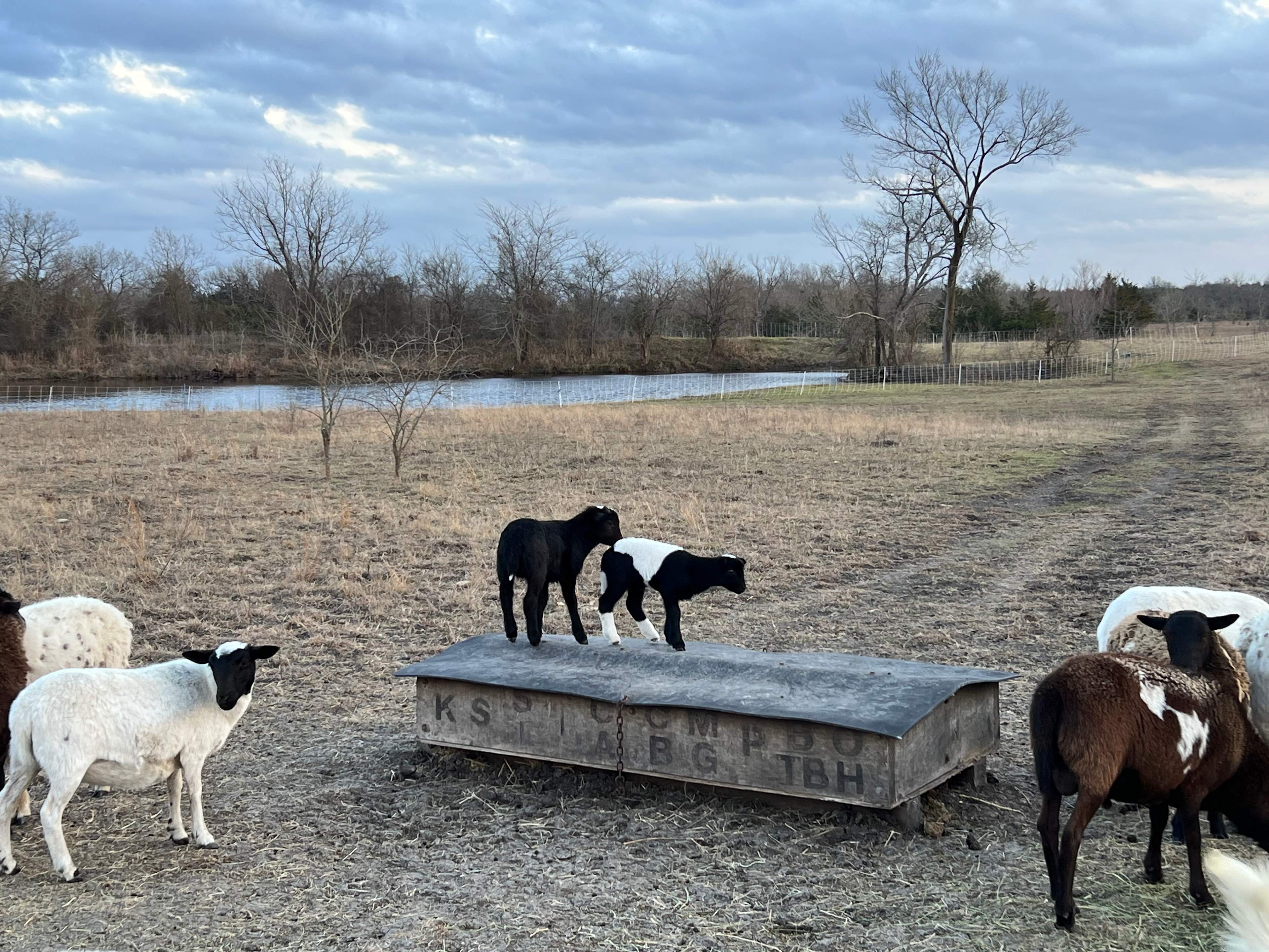 Vrooman Ranch