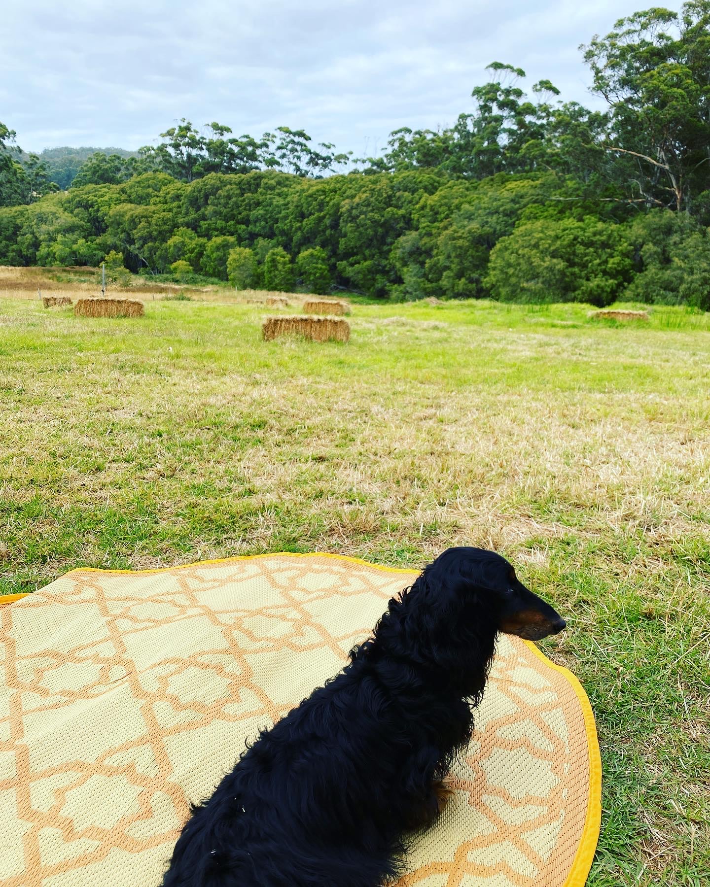 Stunning Rockcliffe Vineyard