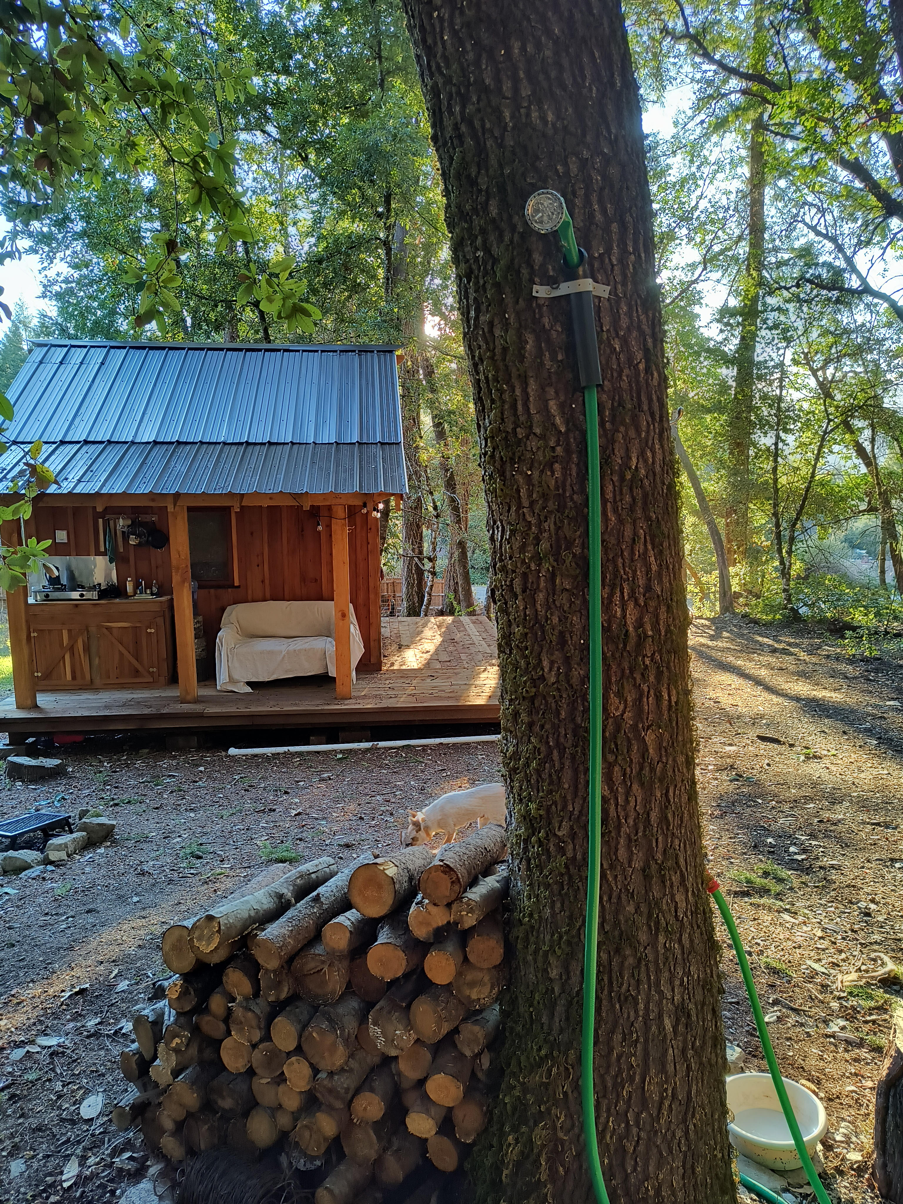 Bigfoot Little Cabin