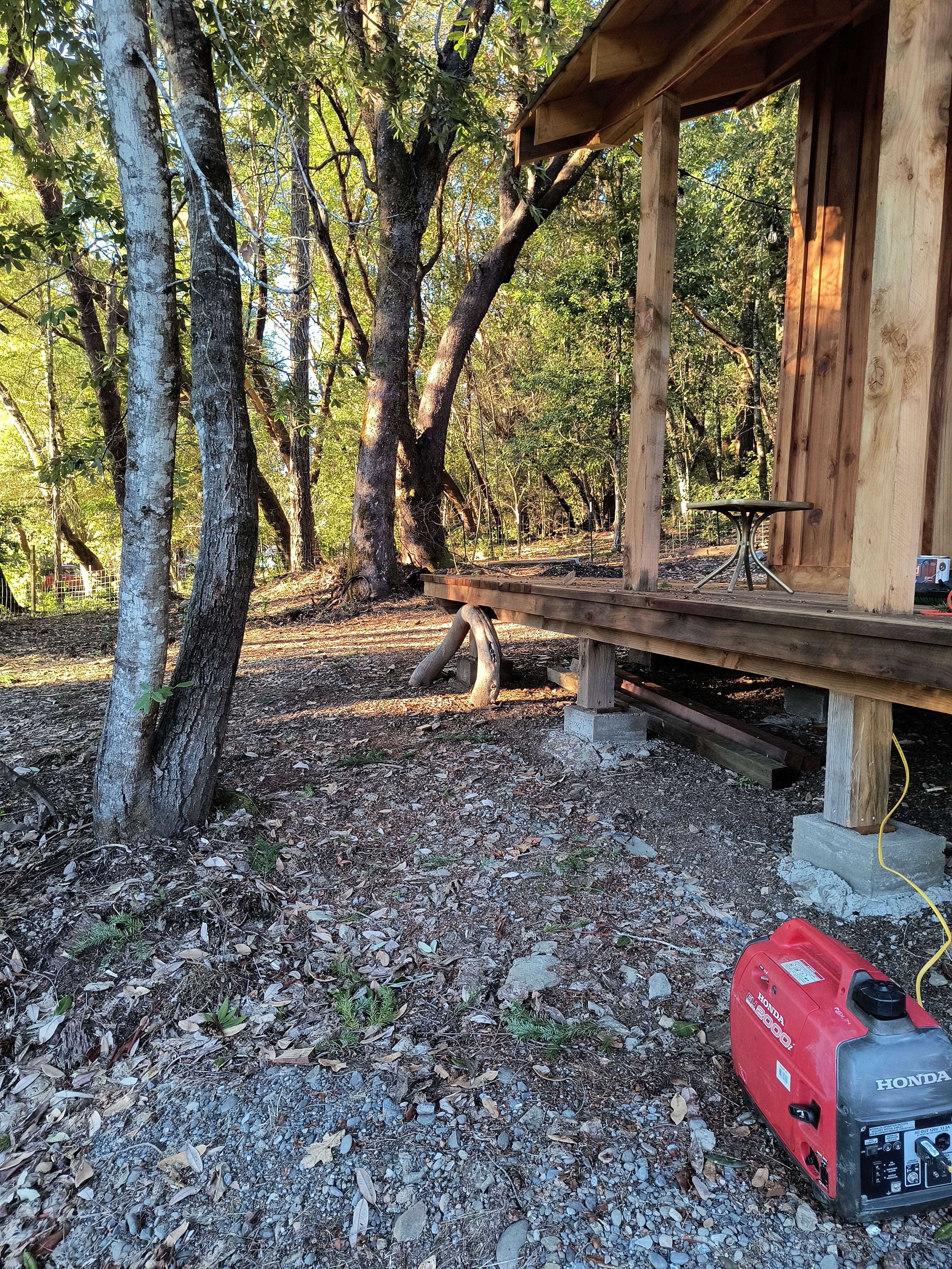 Bigfoot Little Cabin