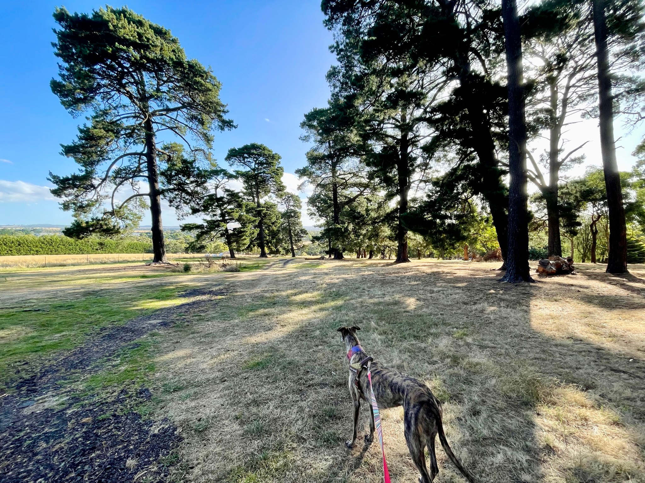 The grounds are beautiful.