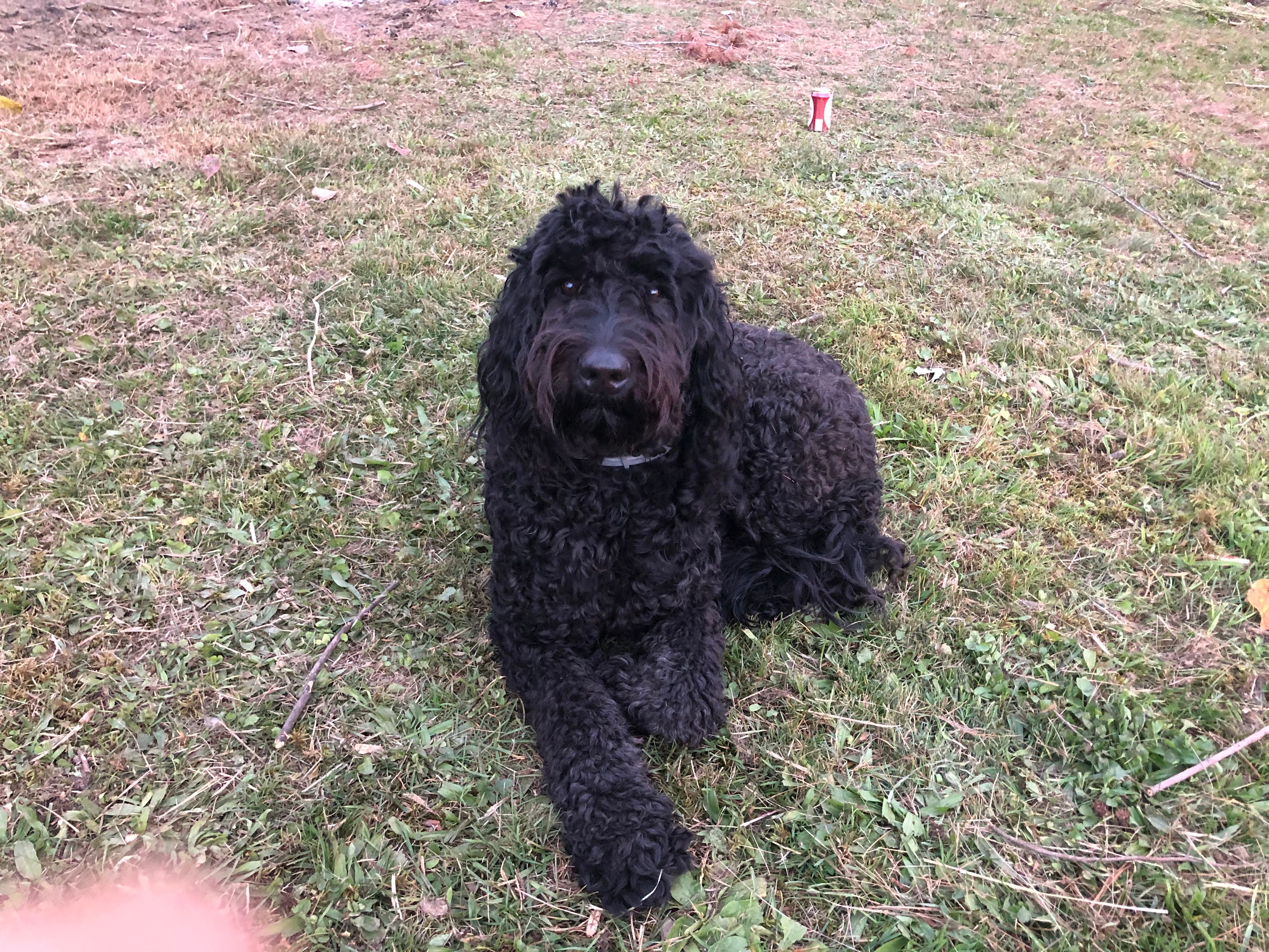 Camping at Cold Springs Domestead