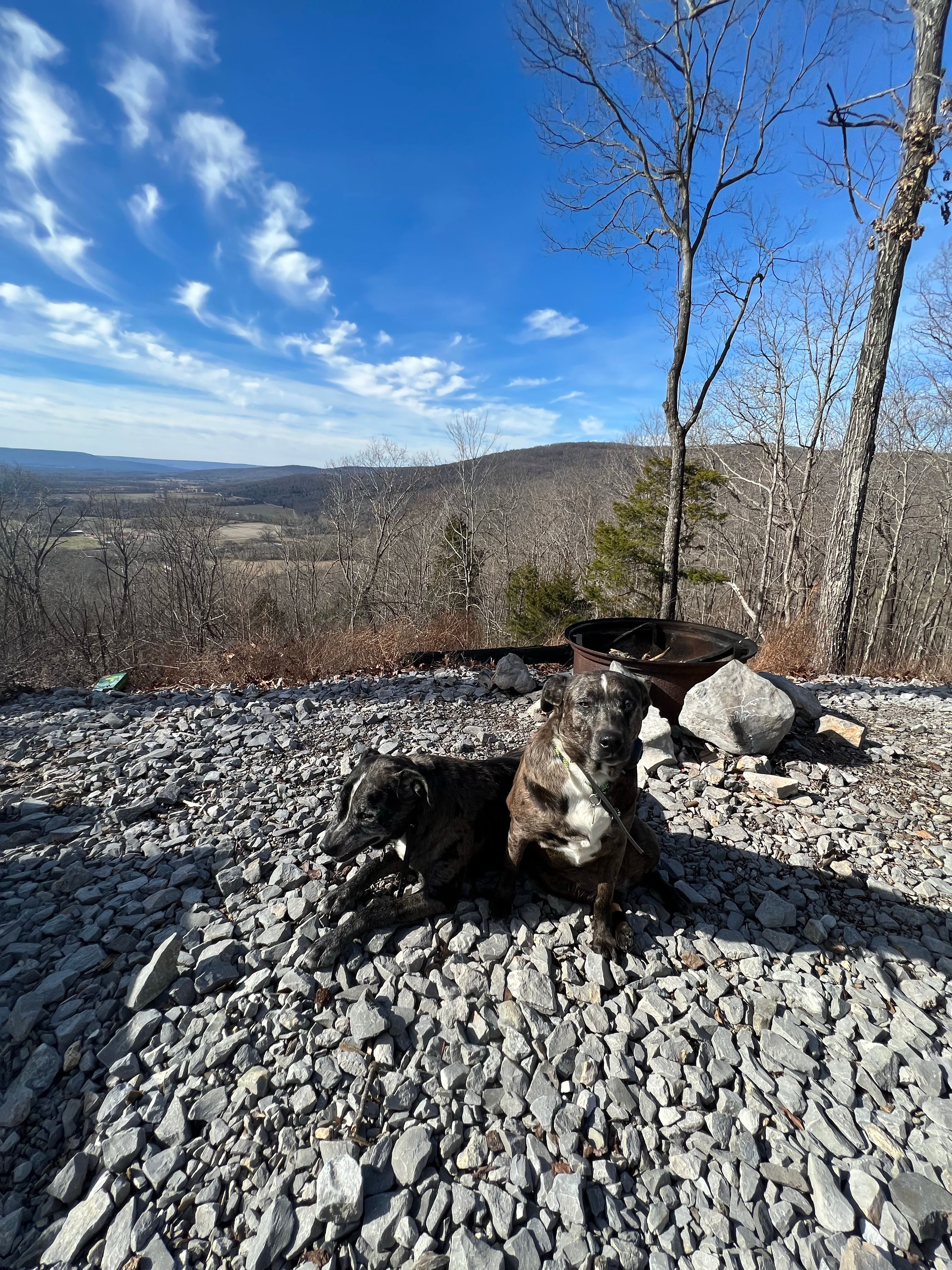 Elk Head Overlook