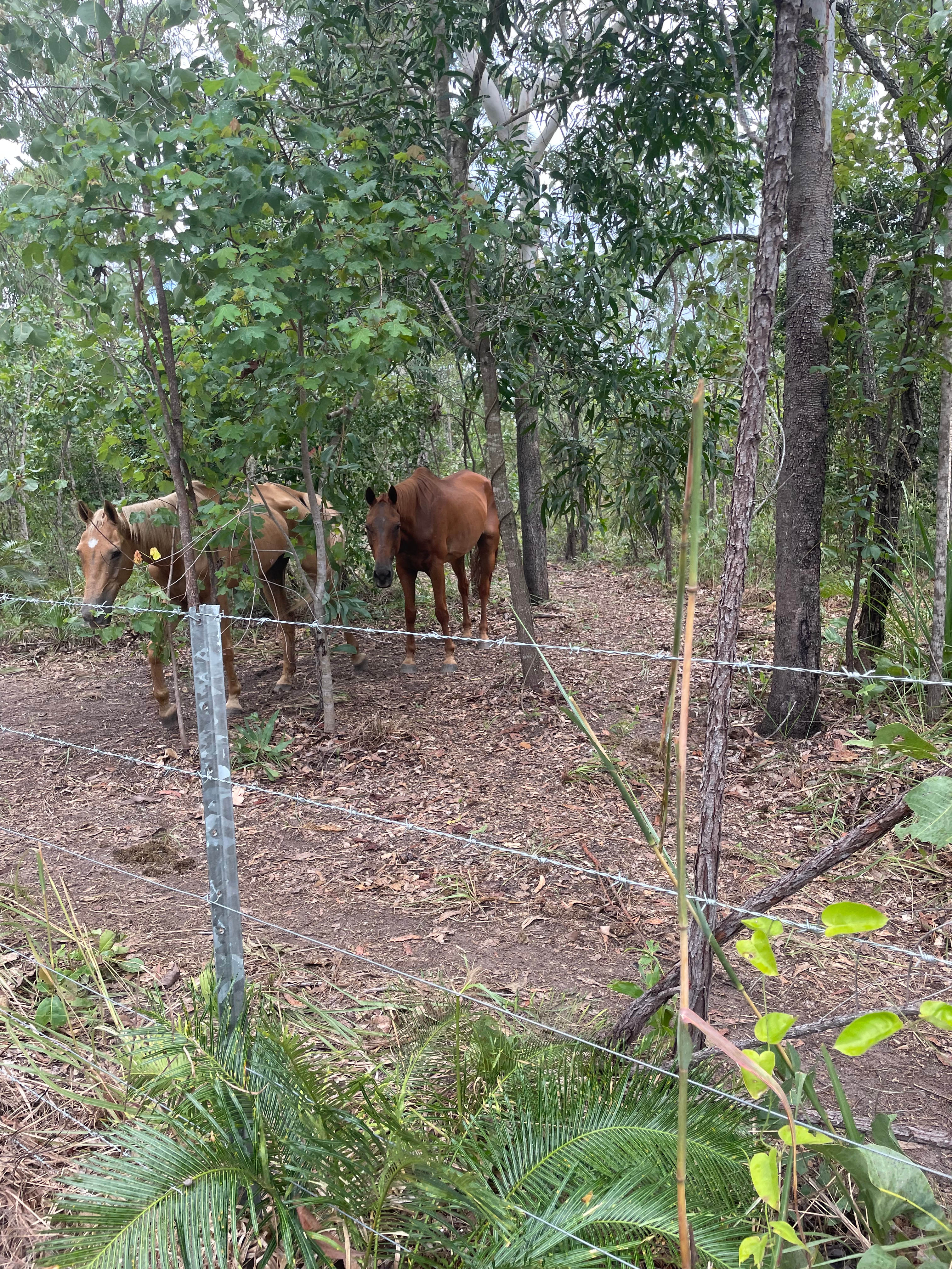 Tumbling Waters Farm Stay