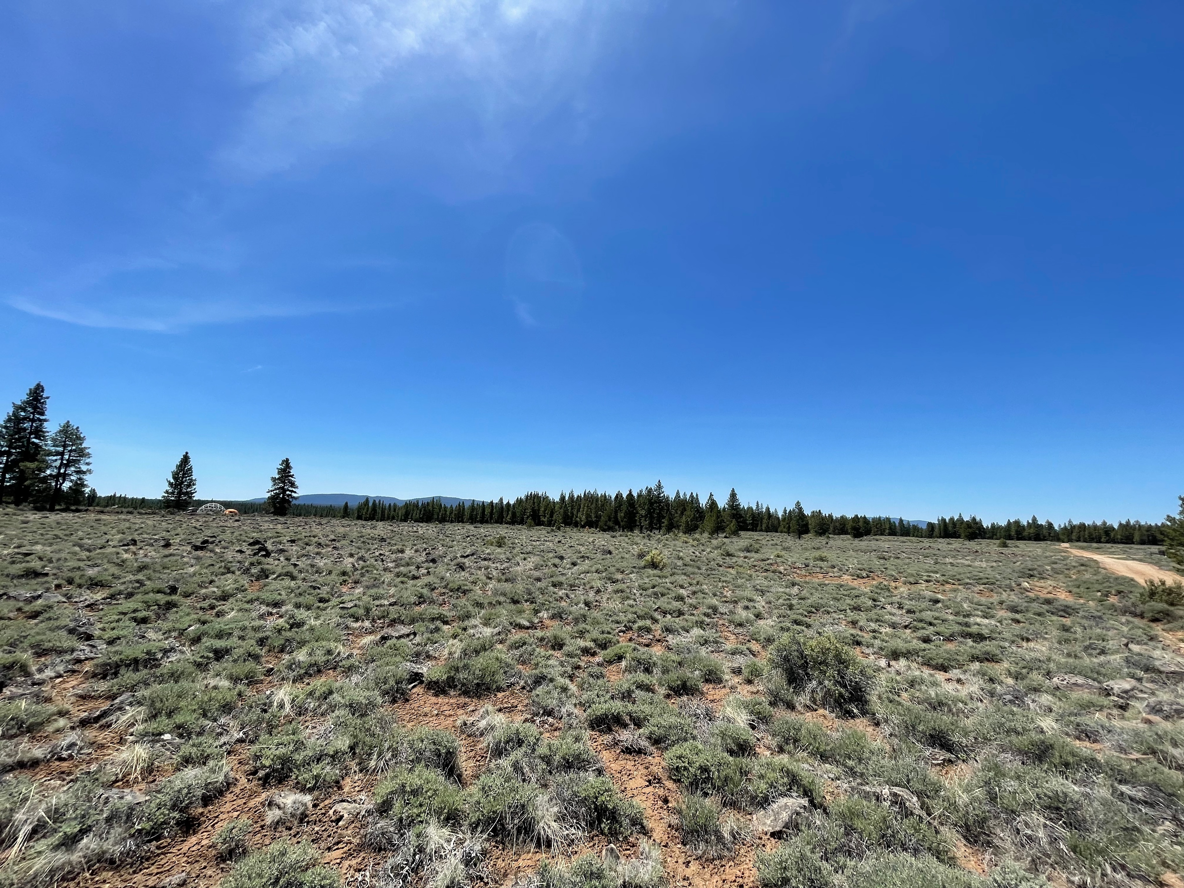 Open sage brush fields!