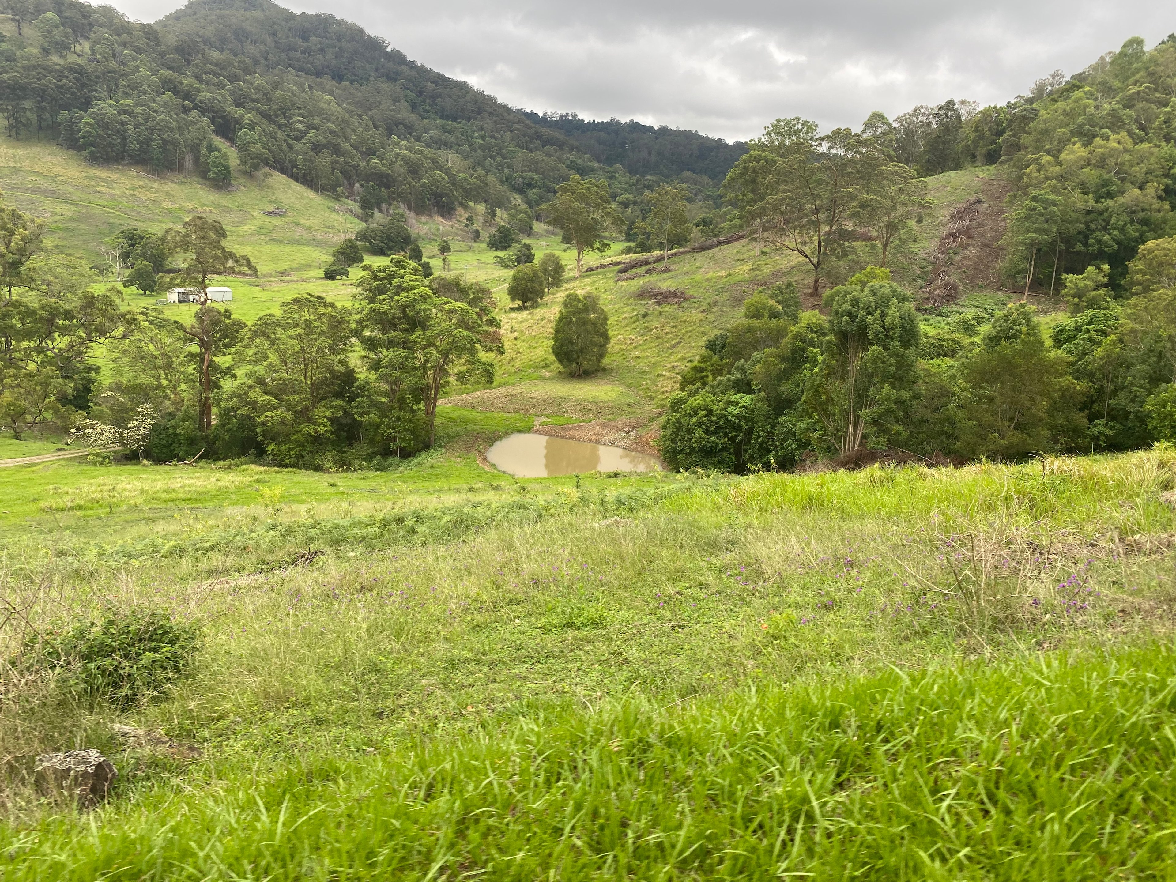 Front dam, off grid tents only beside dam about 400 meters to house.