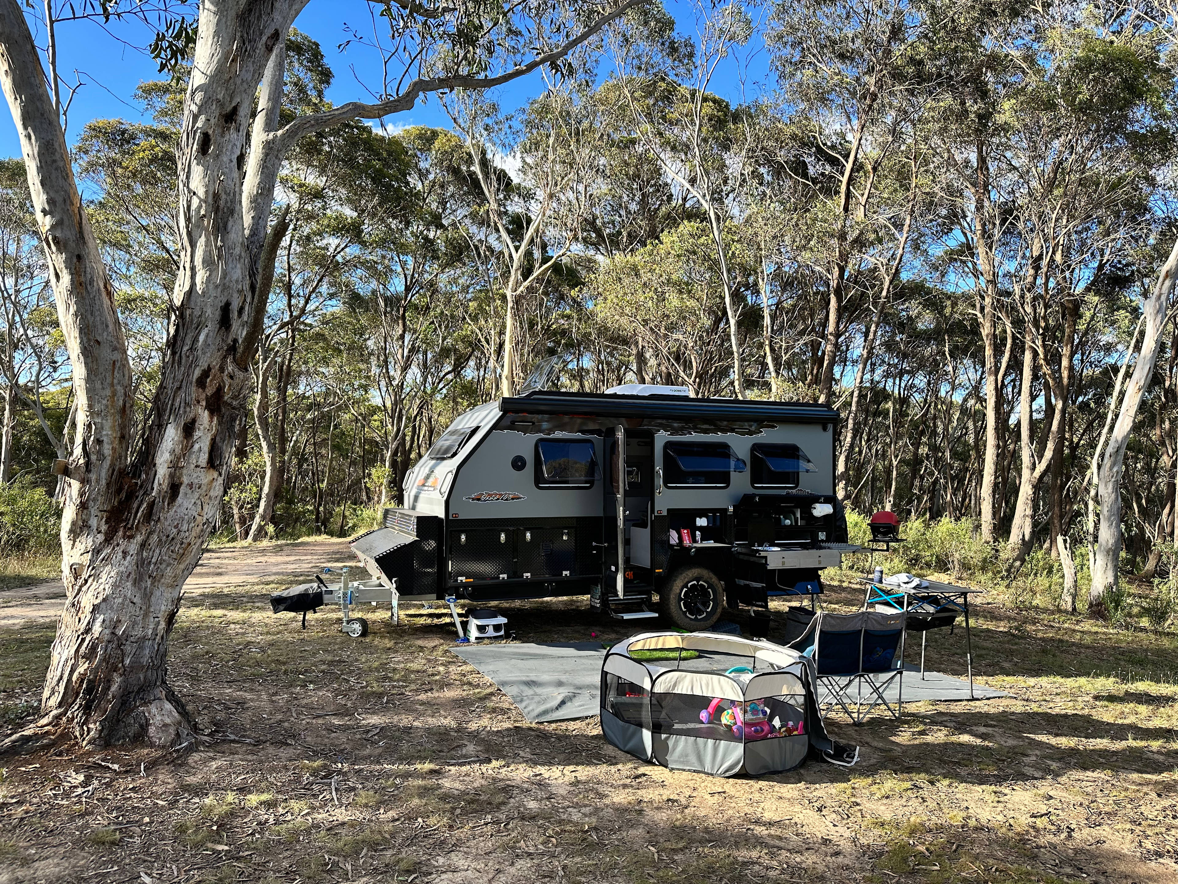 Scribbly Gum secluded bush camping