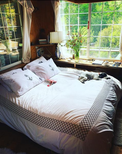 Coastal Ridge Cabin & Trailer