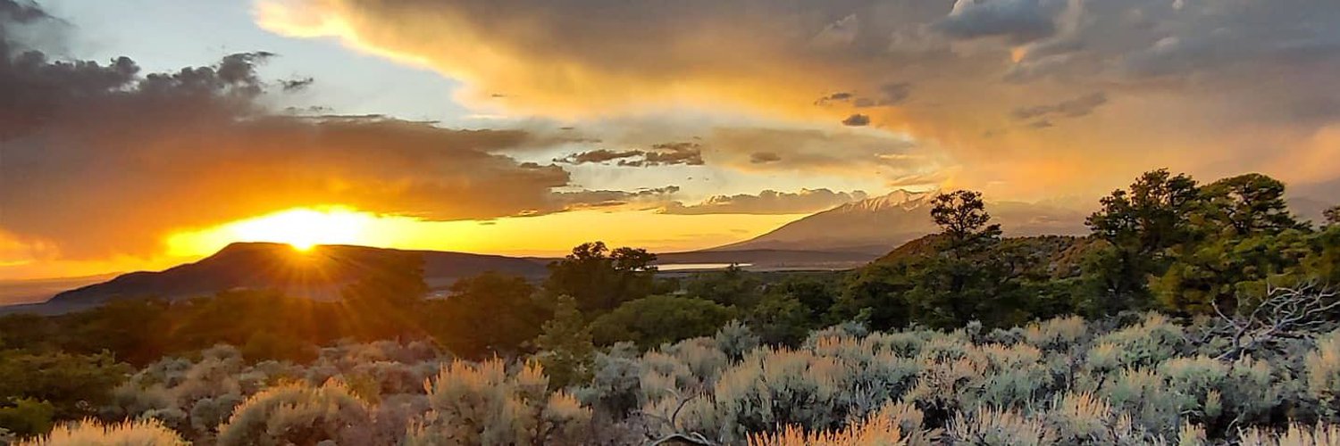 Mountain View Pinion Pine Paradise
