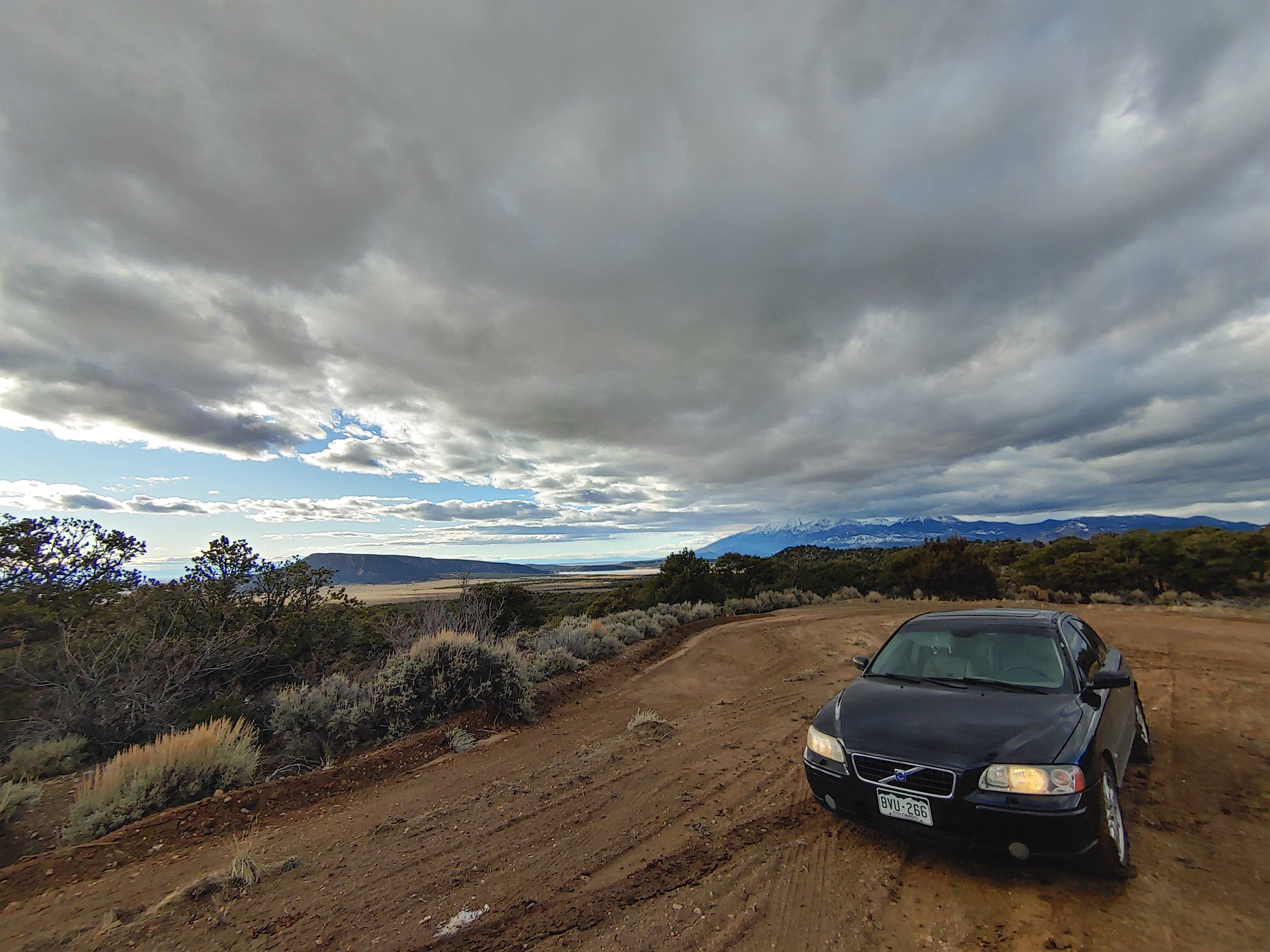 Mountain View Pinion Pine Paradise