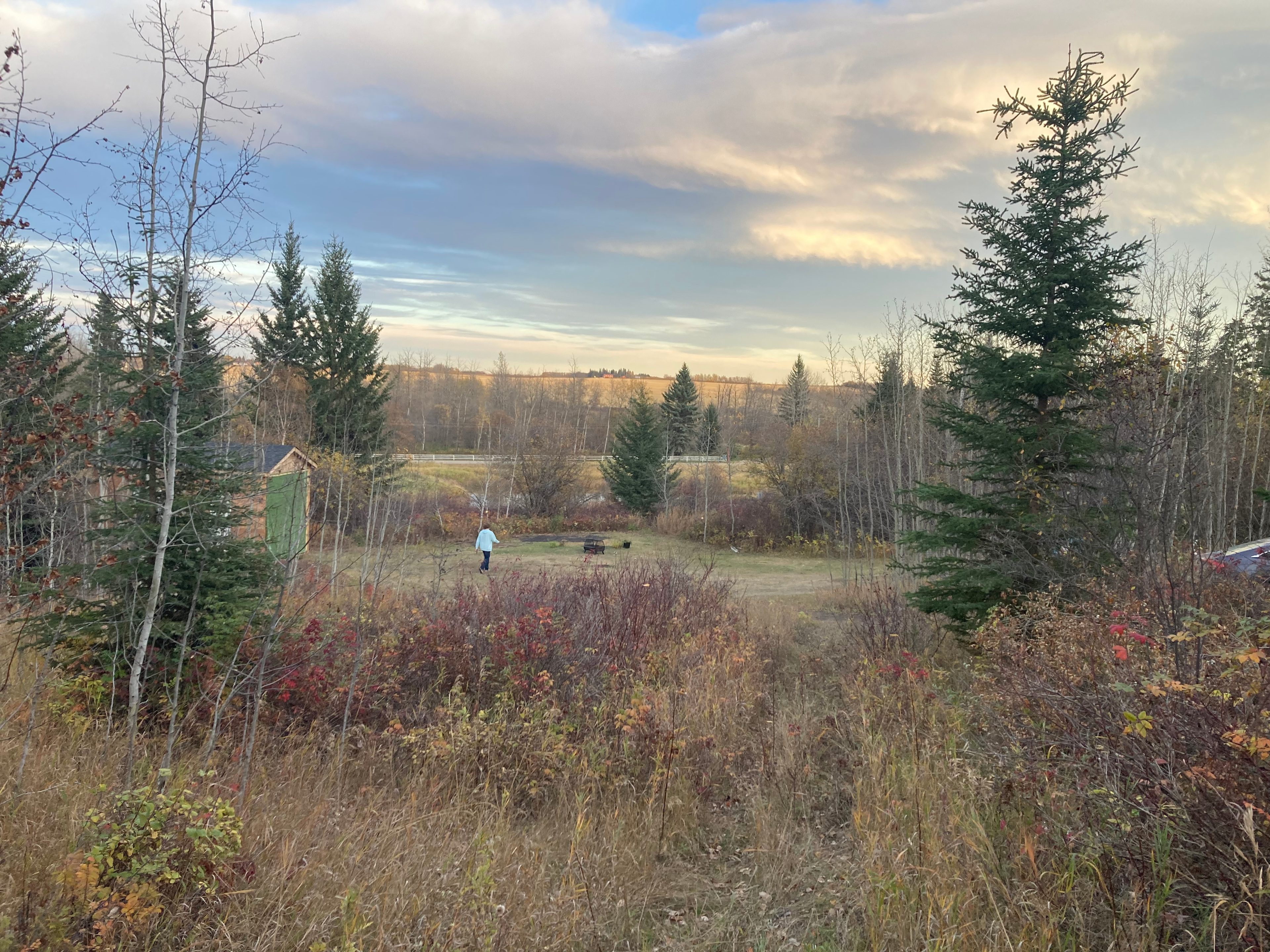 Ravens Valley Chickadee chalet